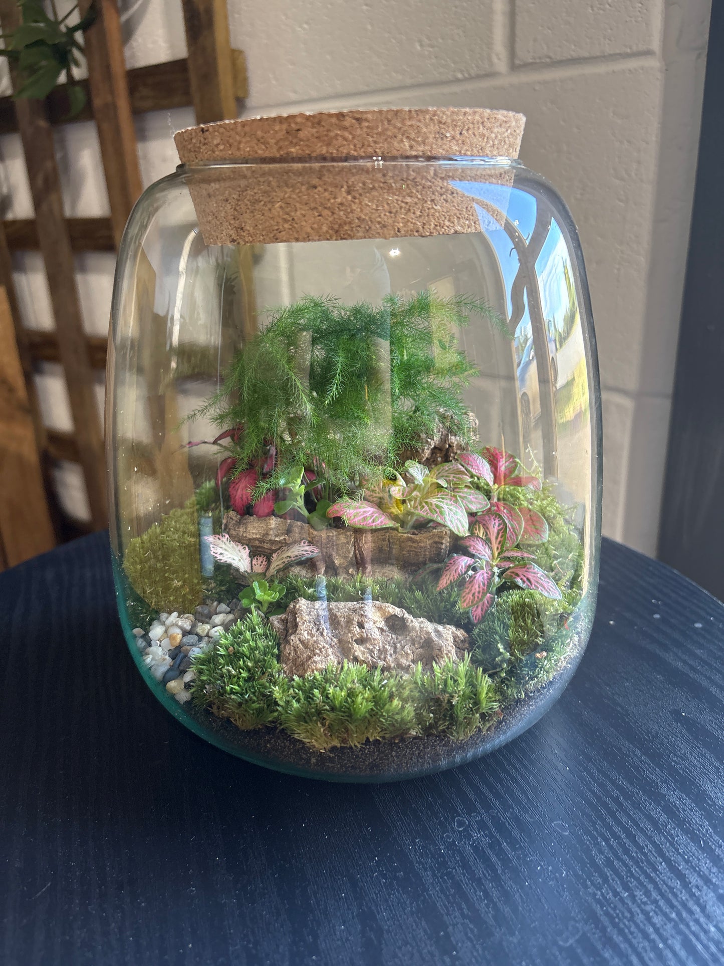 Ready-made Terrarium – Anna Jar