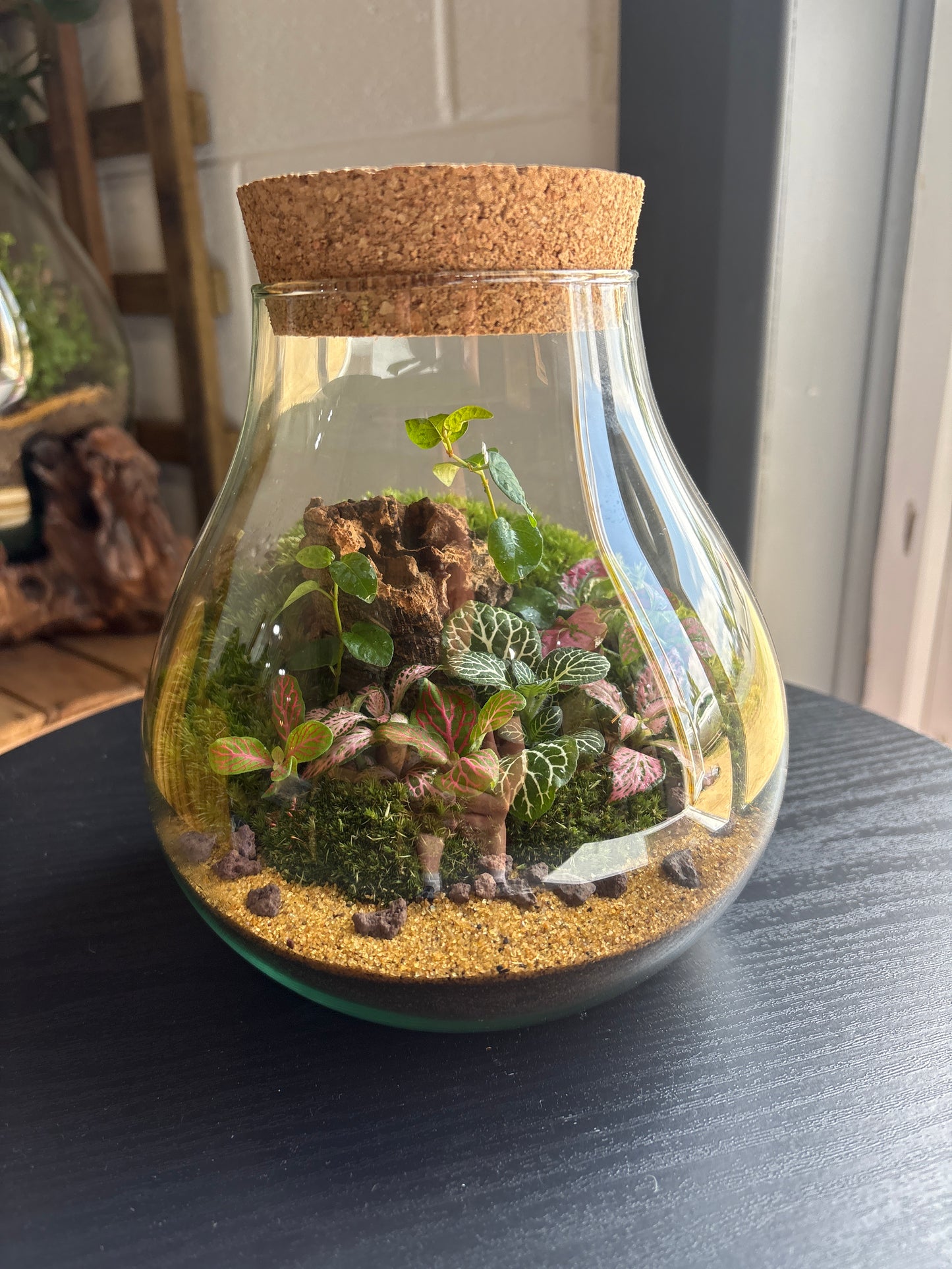 Ready-made Terrarium – Fran Jar