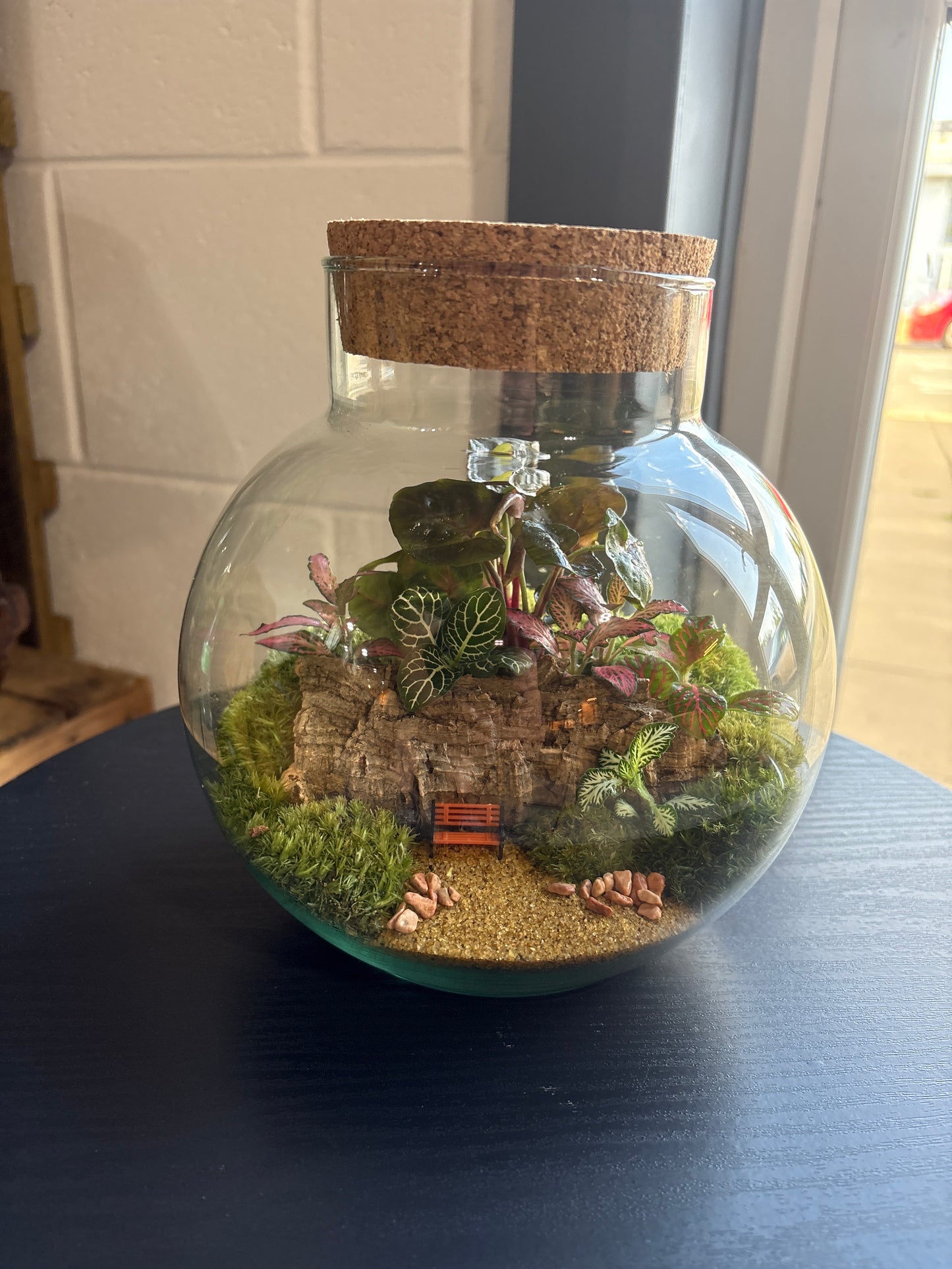Ready-made Terrarium – George Jar