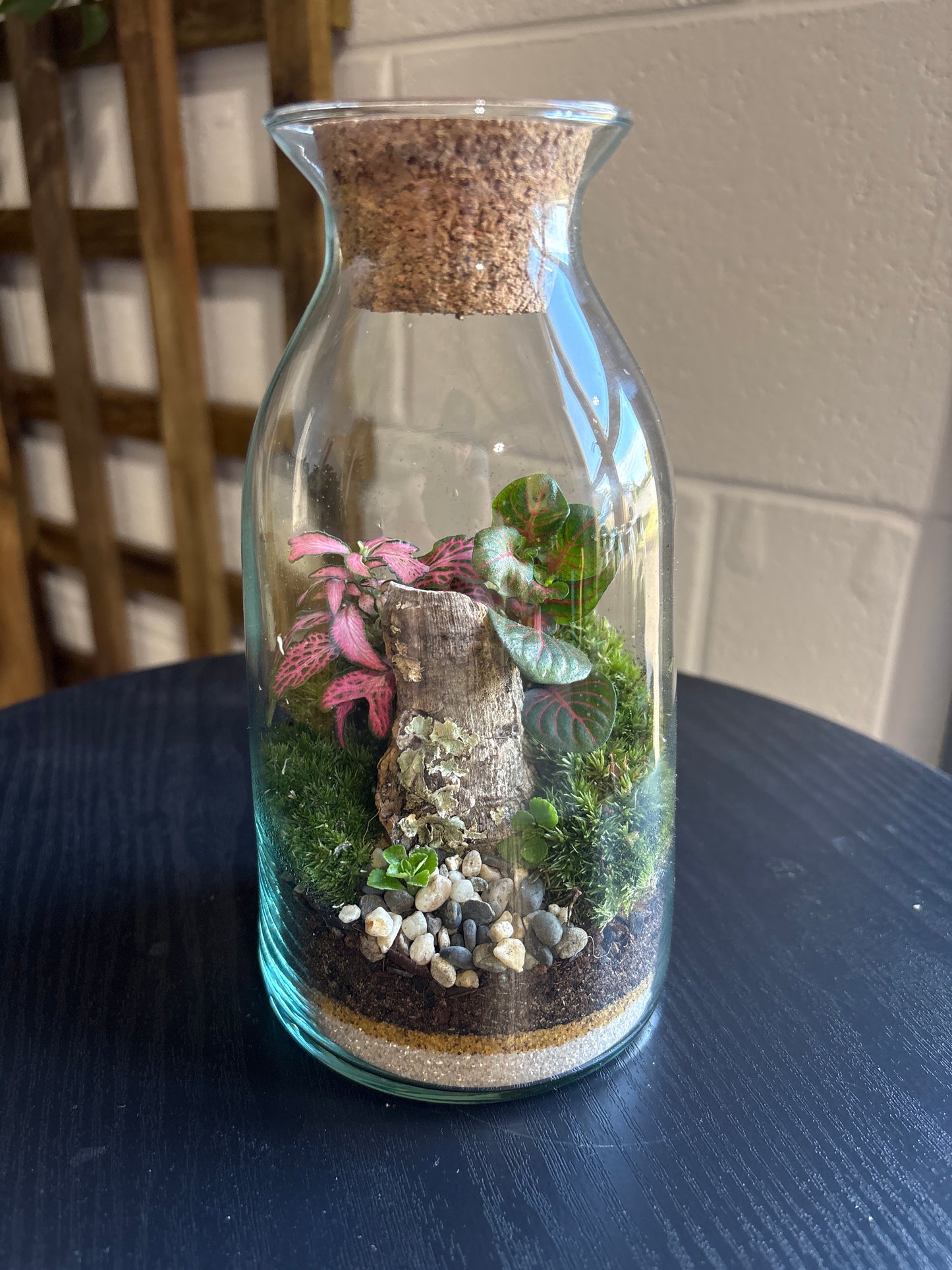 Ready-made Terrarium – Chloe Jar
