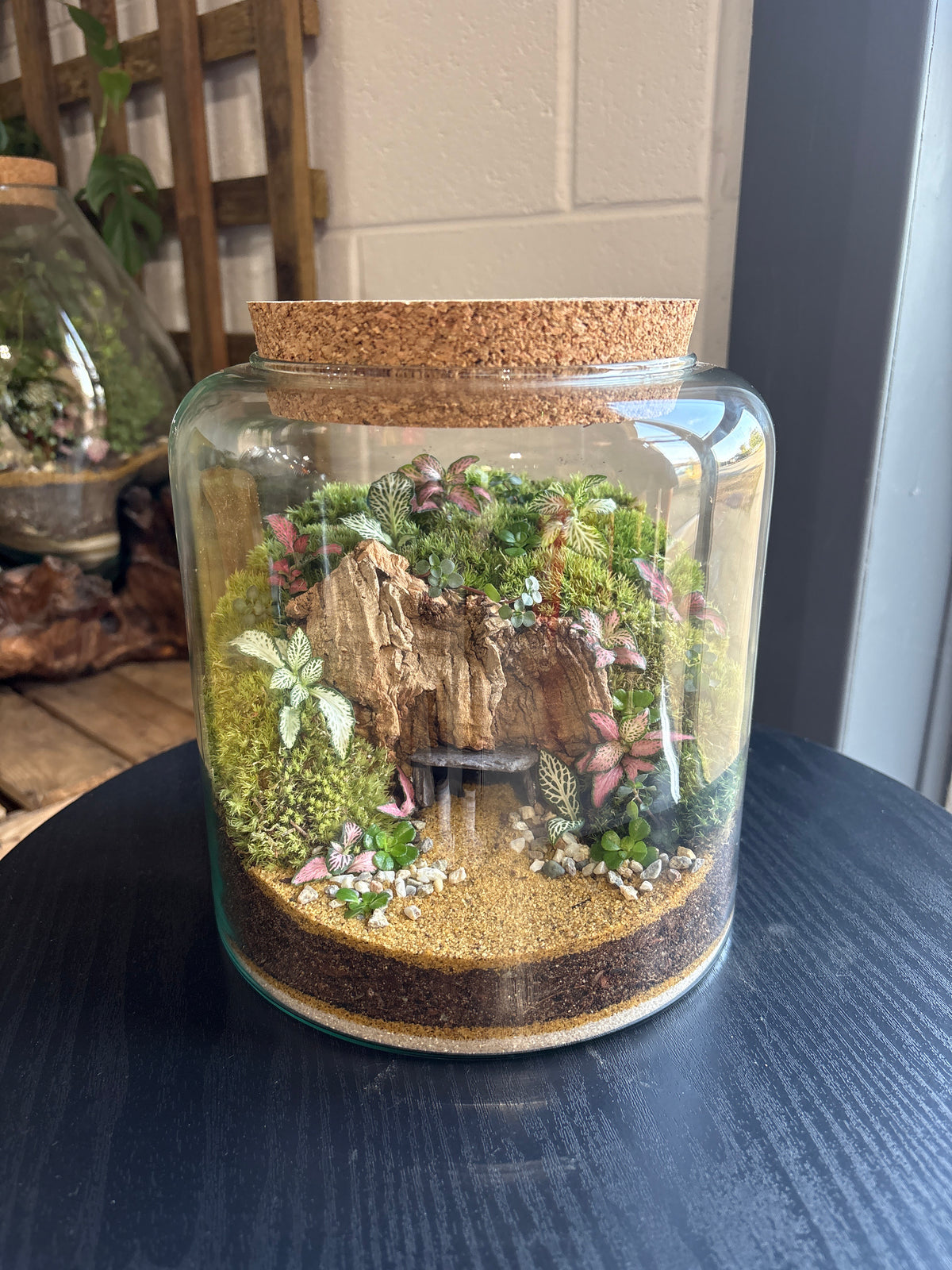 Ready-made Terrarium – Katie