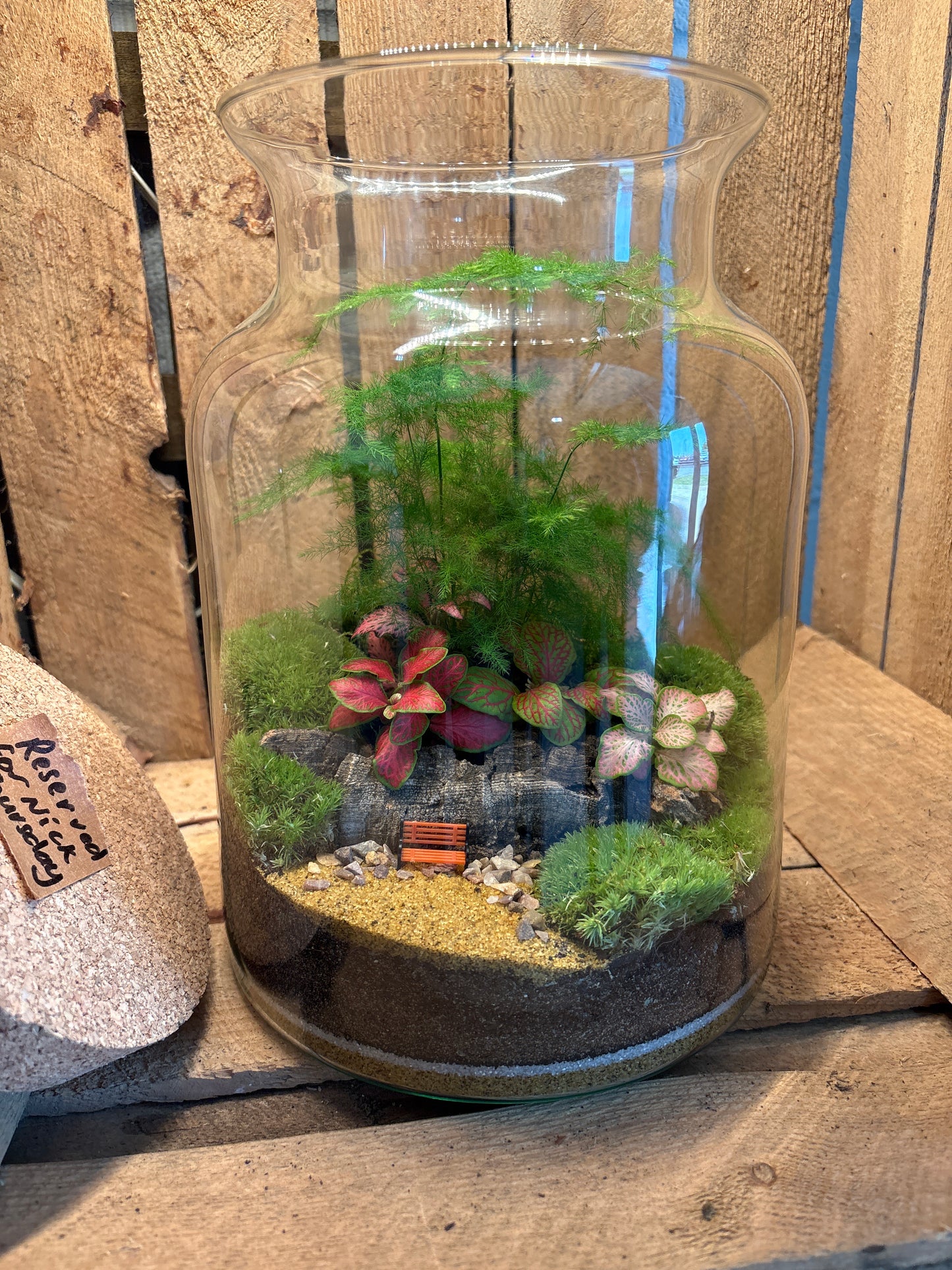 Ready-made Terrarium – Unique Jar