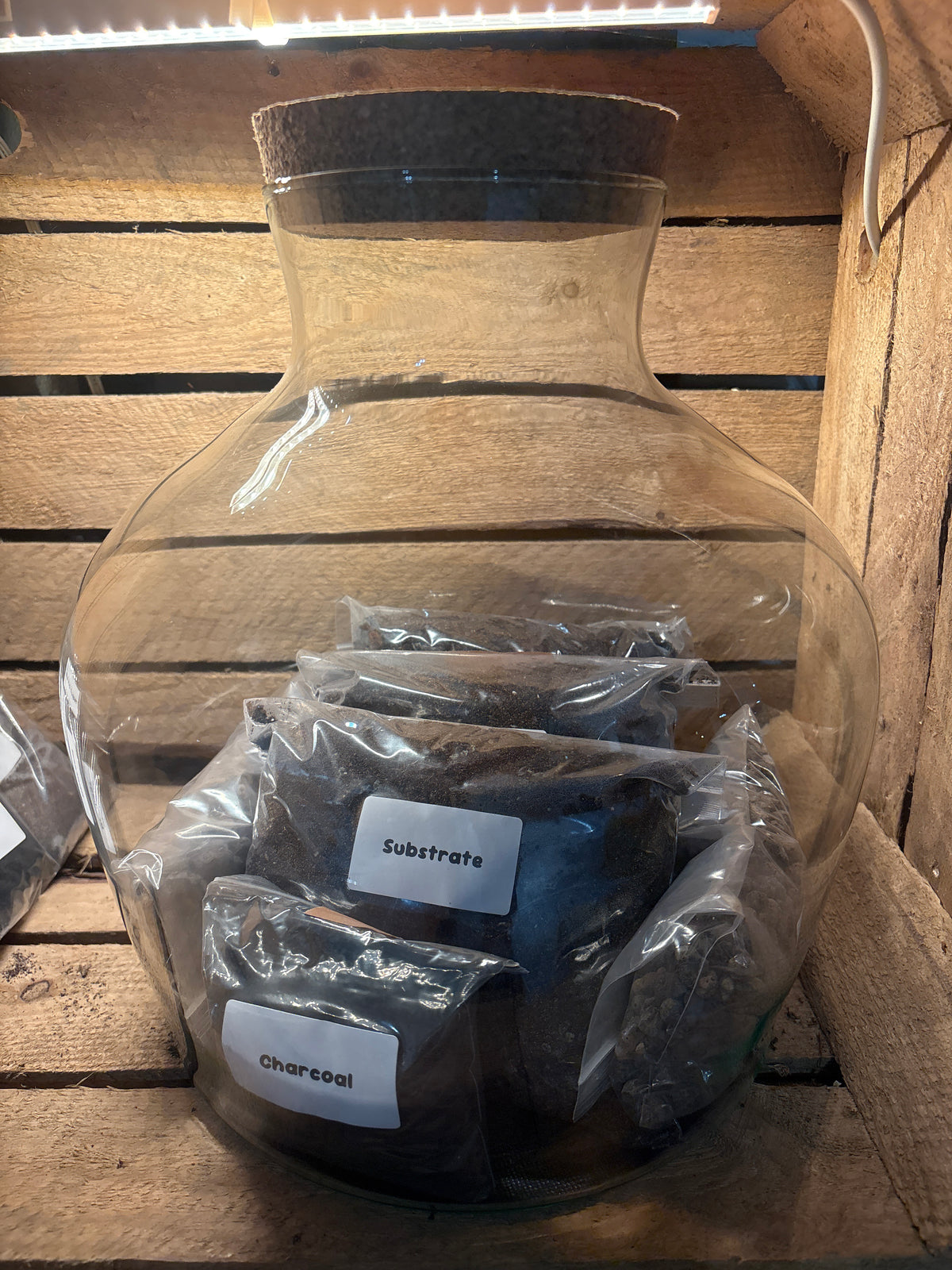 Ready-made Terrarium – Matthew Jar