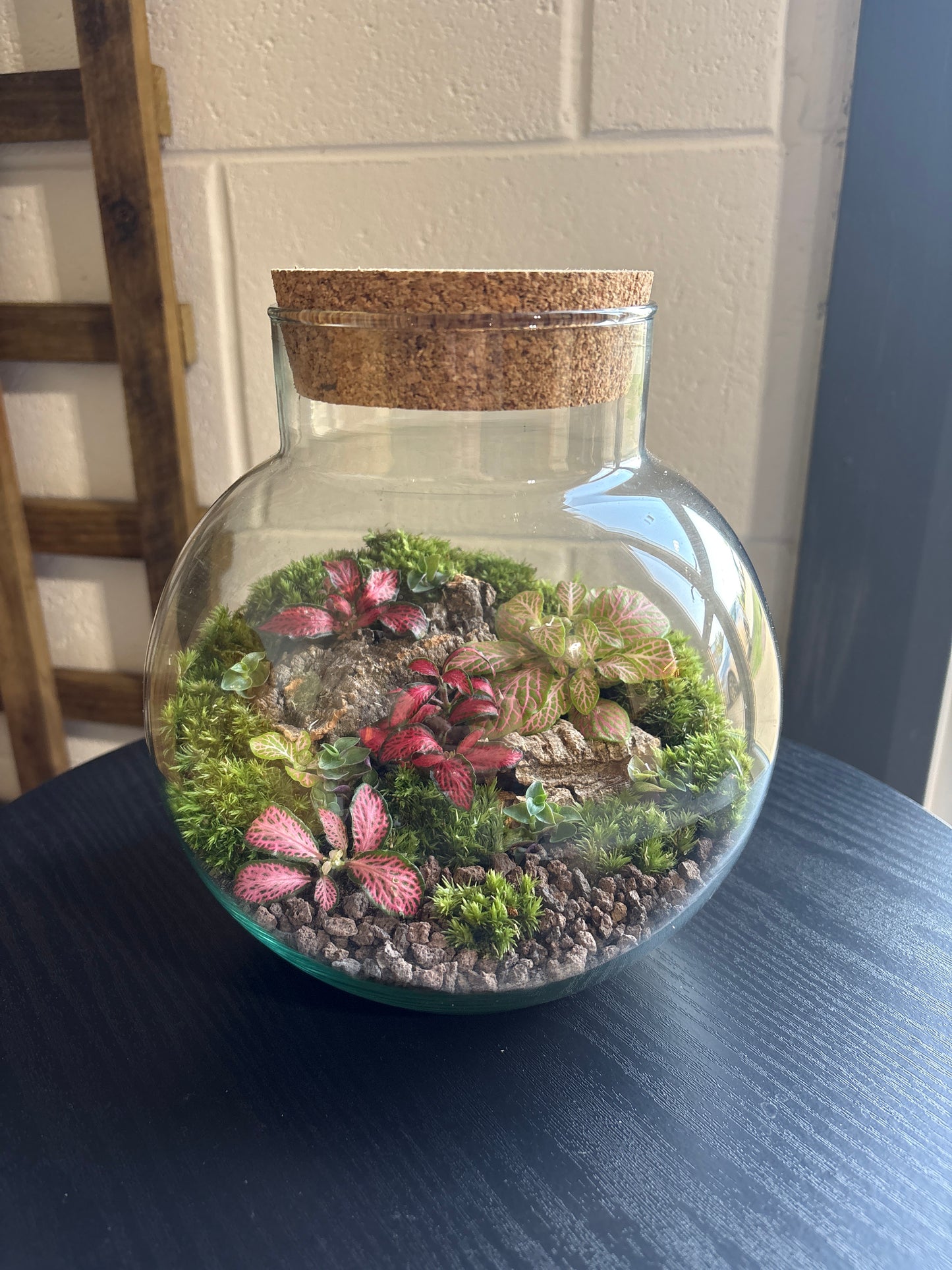 Ready-made Terrarium – George Jar
