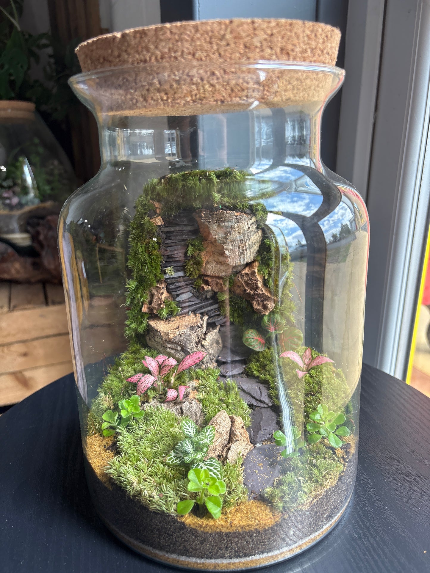 Ready-made Terrarium – Unique Jar
