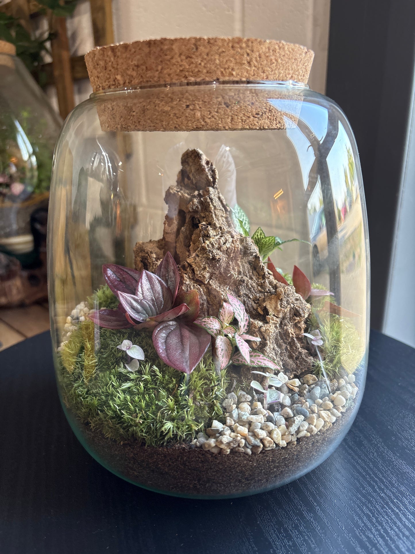 Ready-made Terrarium – Anna Jar
