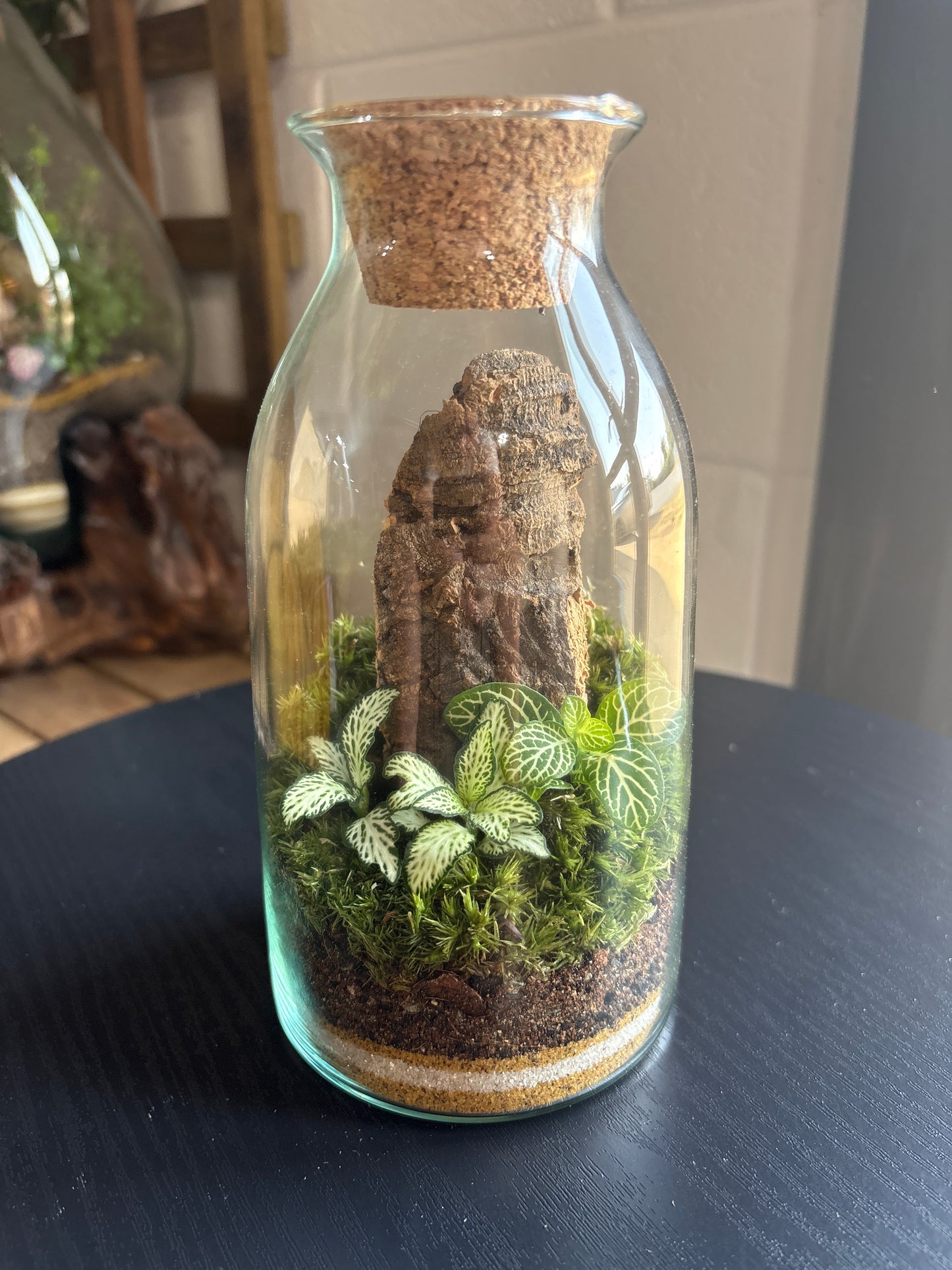 Ready-made Terrarium – Chloe Jar