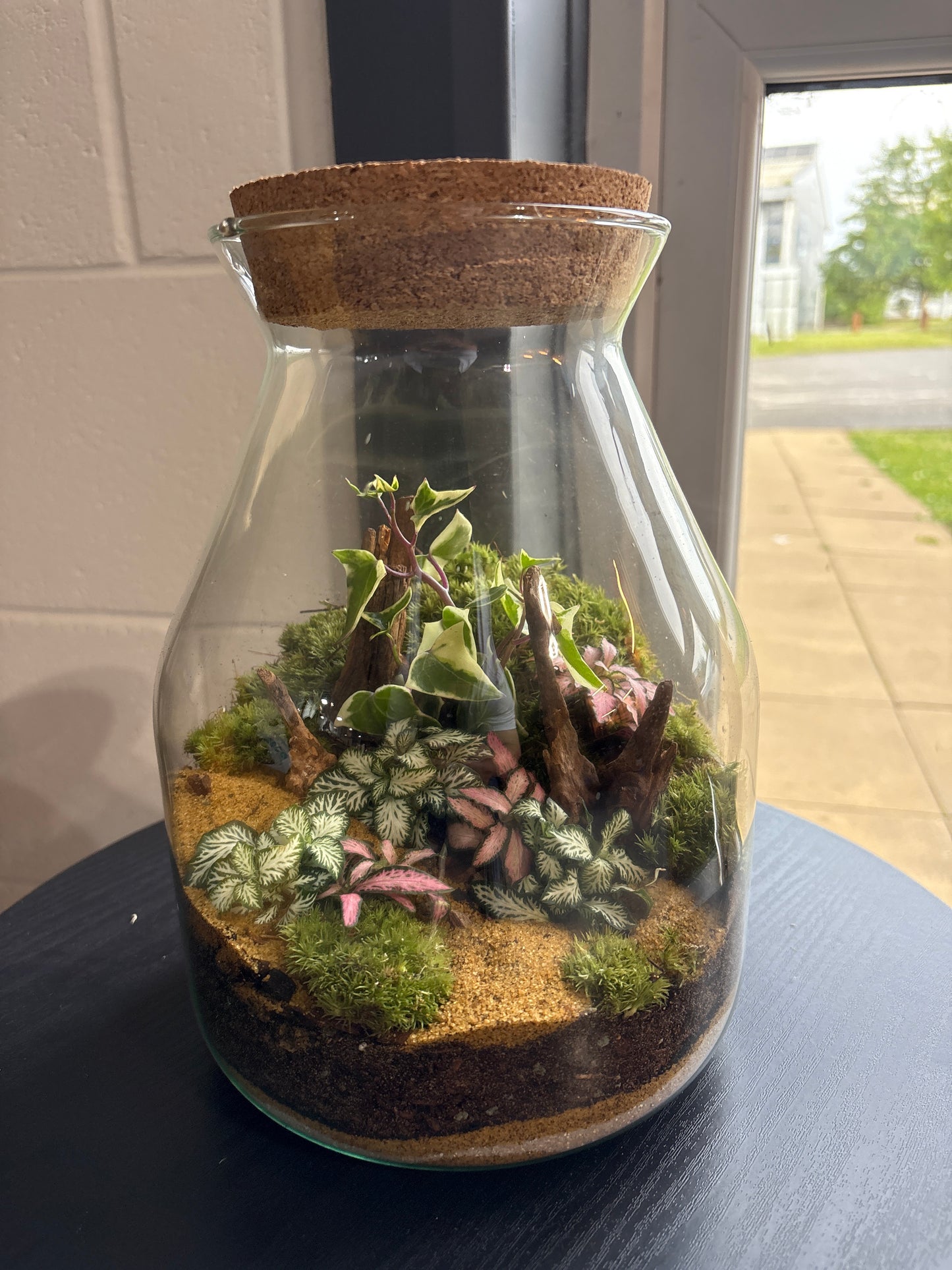 Ready-made Terrarium – Jamie Jar