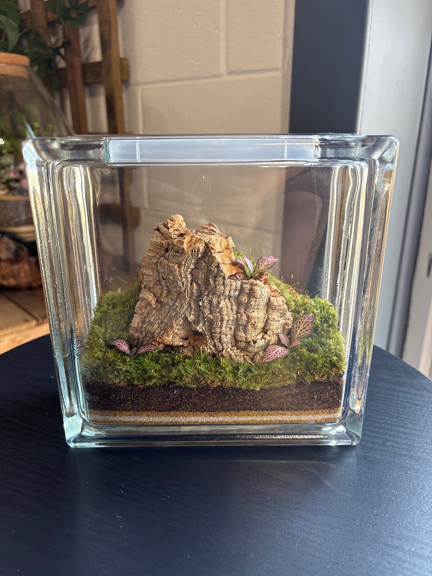 Ready-made Terrarium – Unique Jar