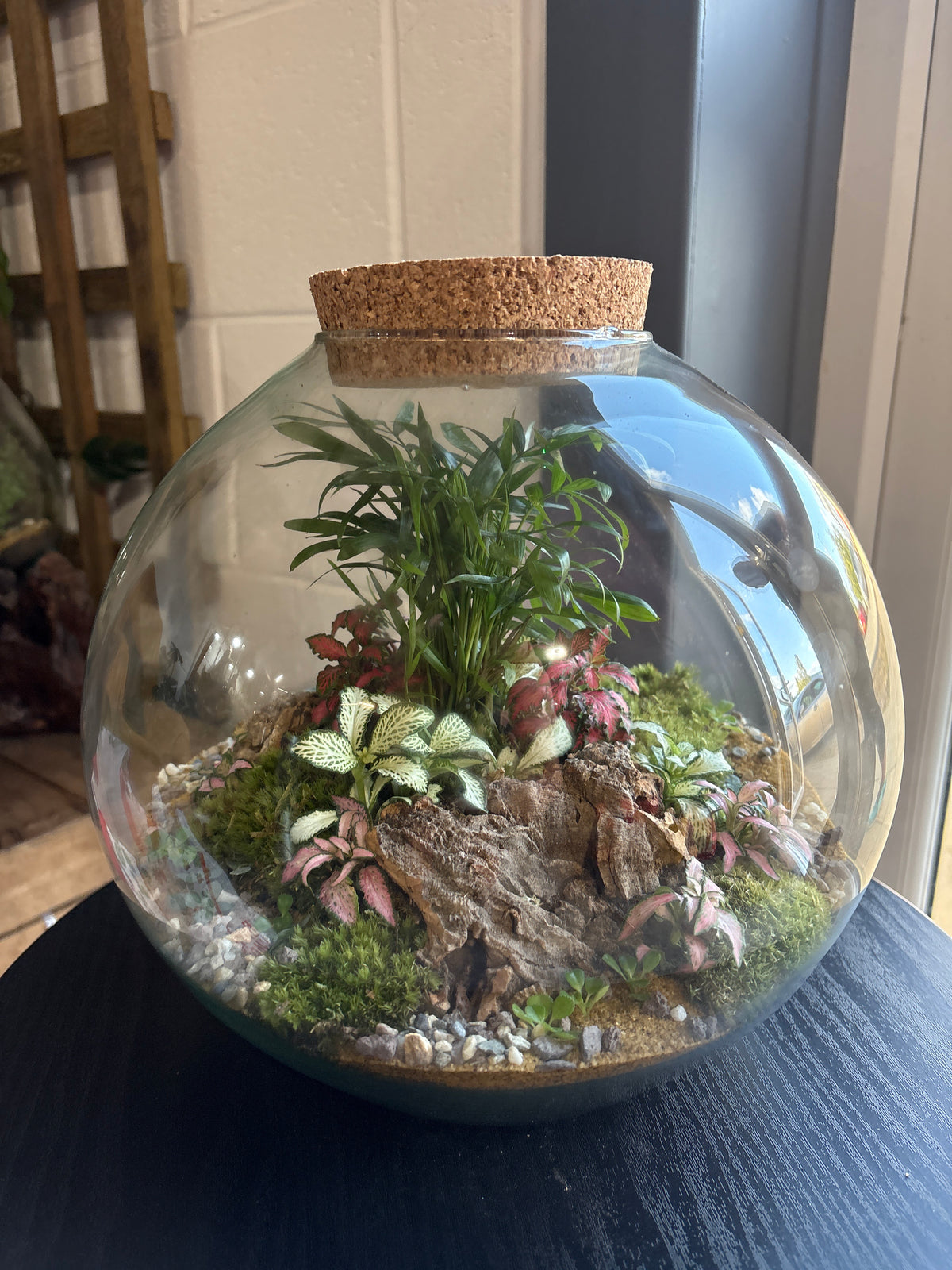 Ready-made Terrarium – Sarah