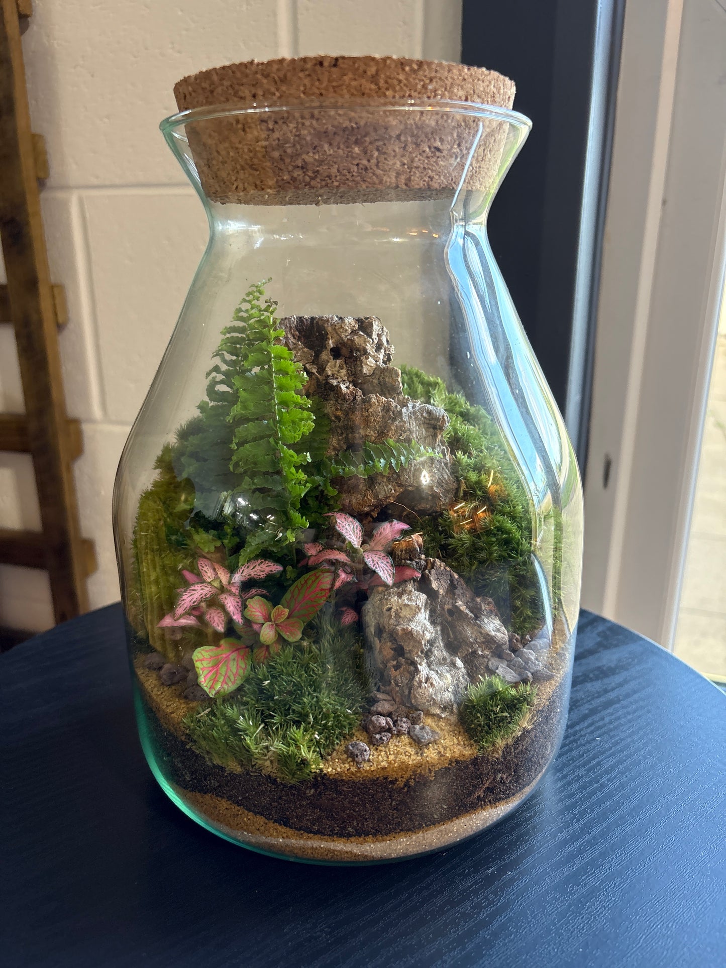 Ready-made Terrarium – Jamie Jar