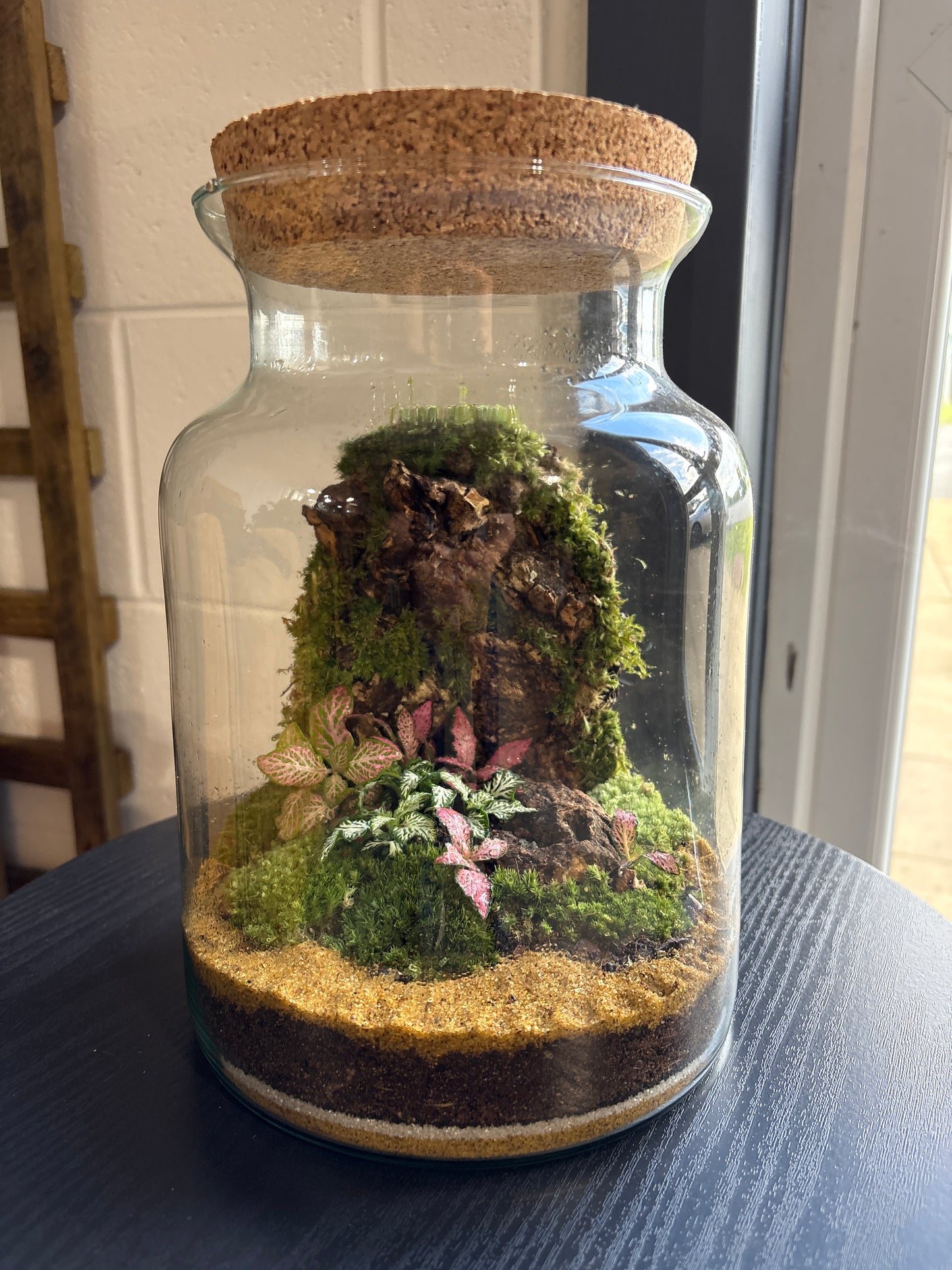 Ready-made Terrarium – Unique Jar