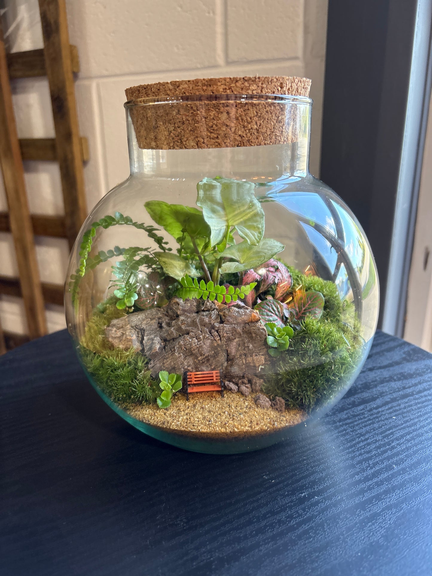 Ready-made Terrarium – George Jar