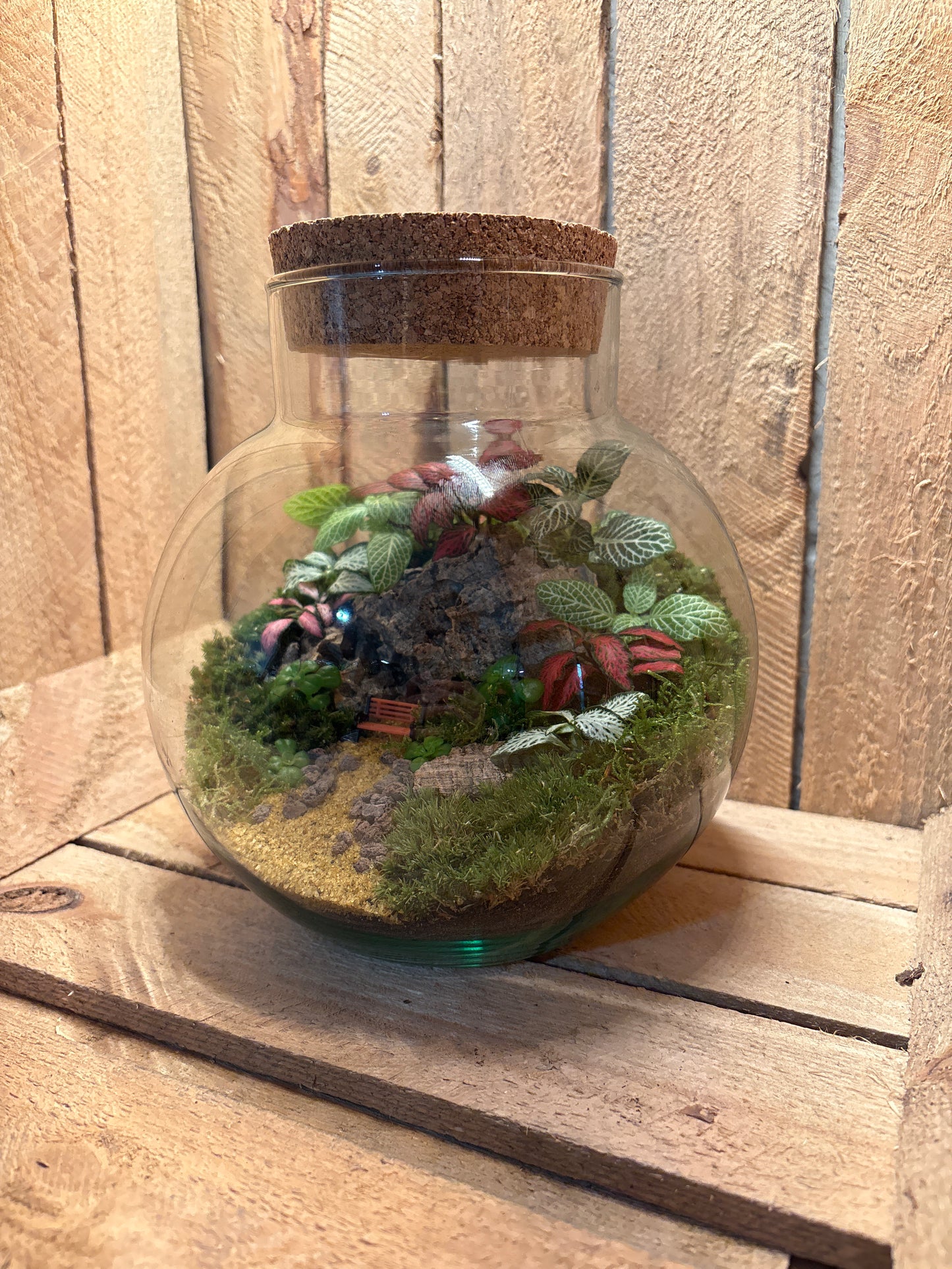 Ready-made Terrarium – George Jar