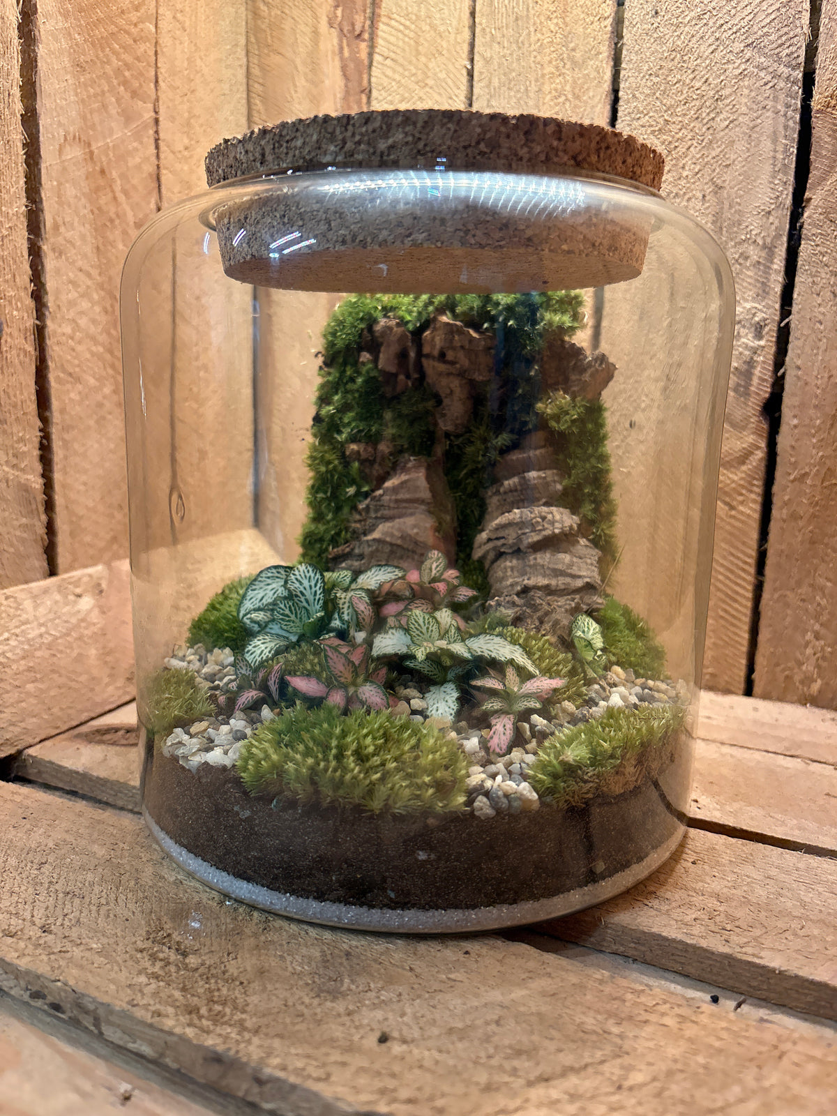 Ready-made Terrarium – Katie