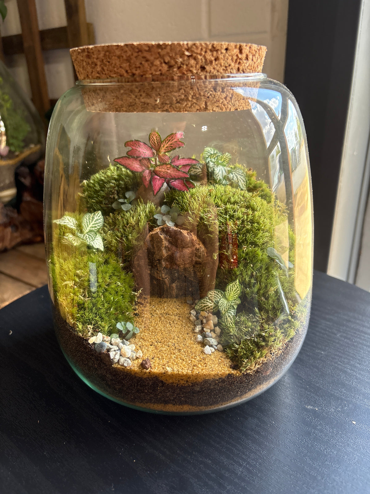 Ready-made Terrarium – Anna Jar