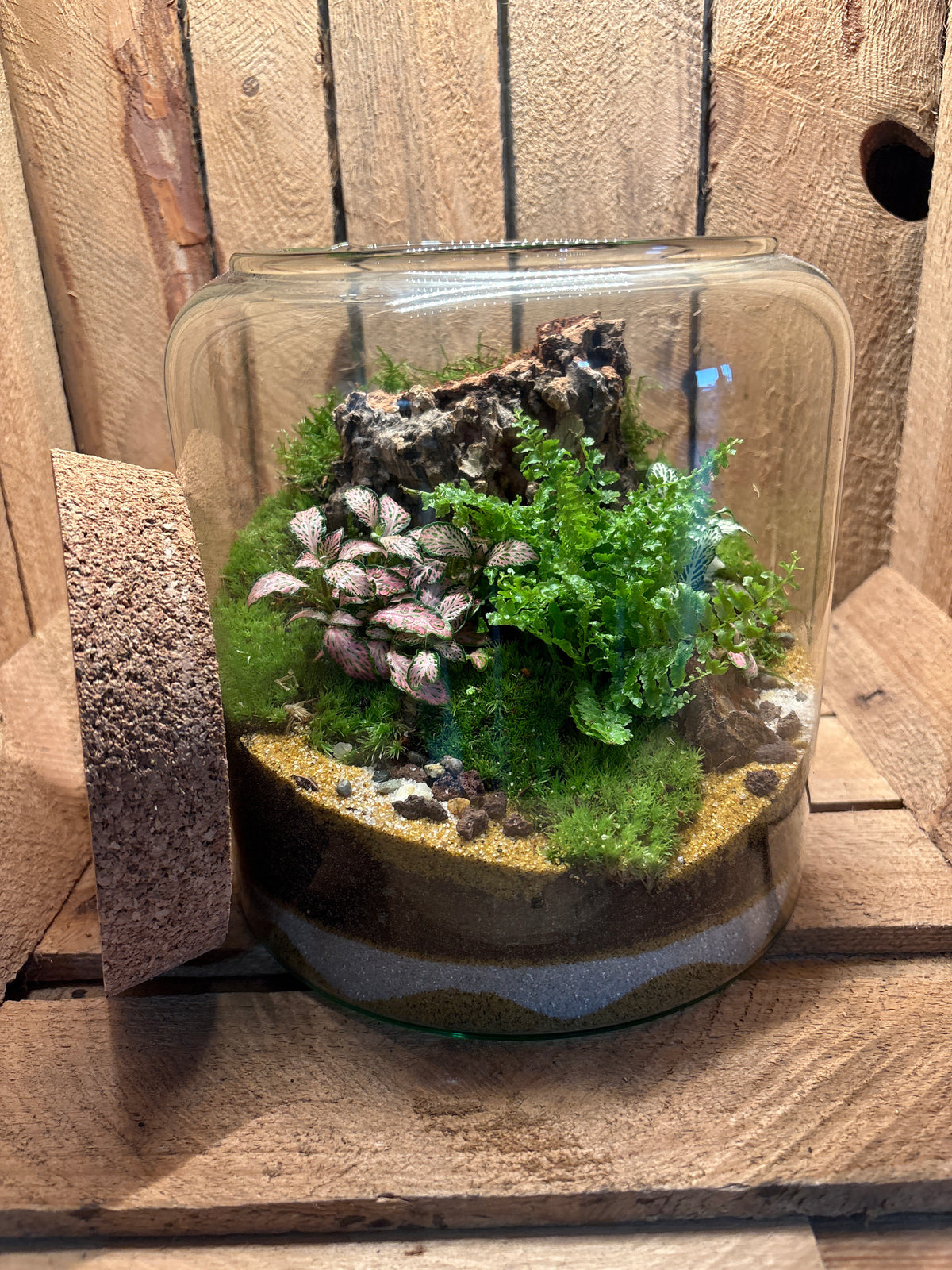 Ready-made Terrarium – Katie