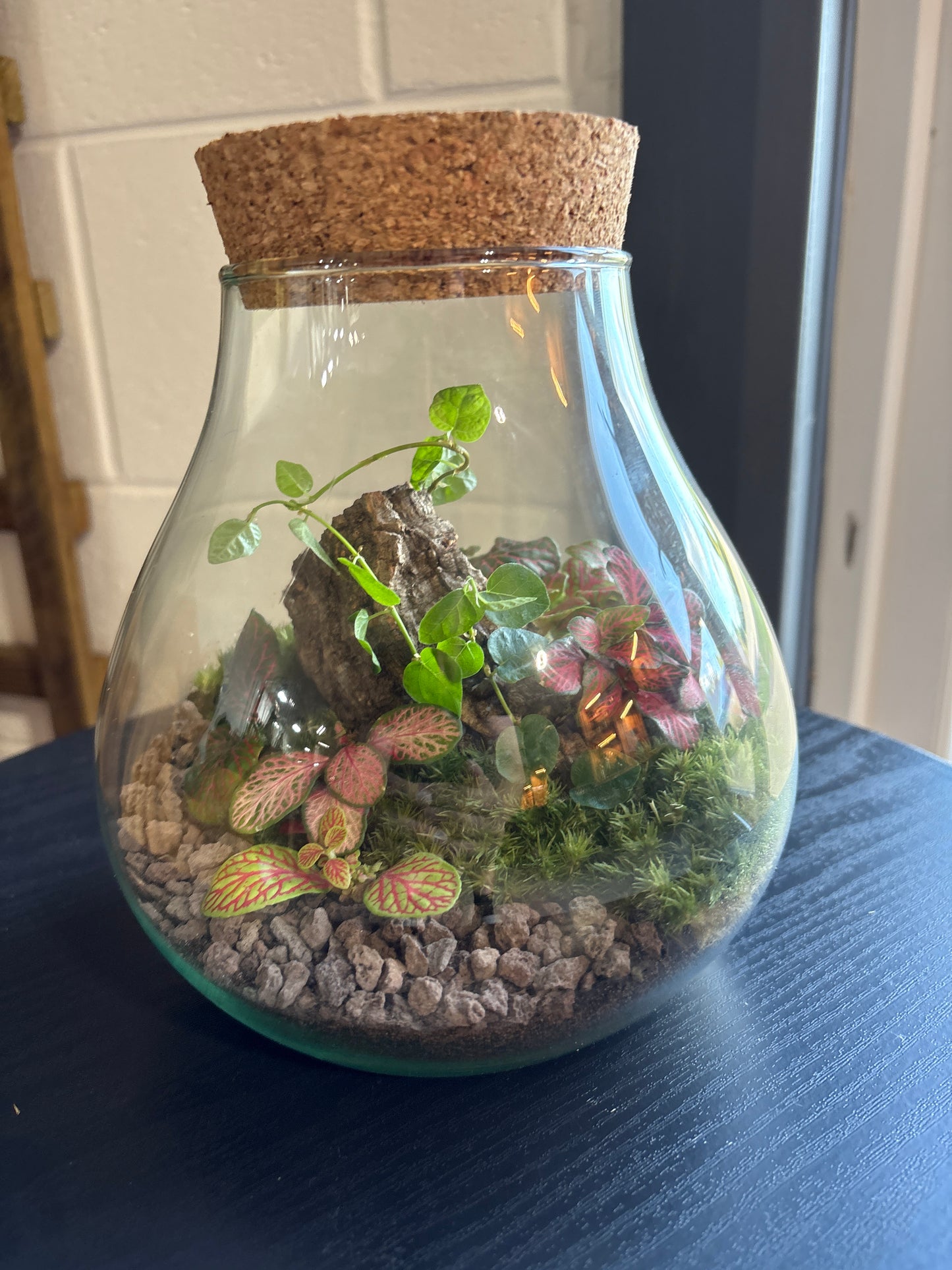 Ready-made Terrarium – Fran Jar