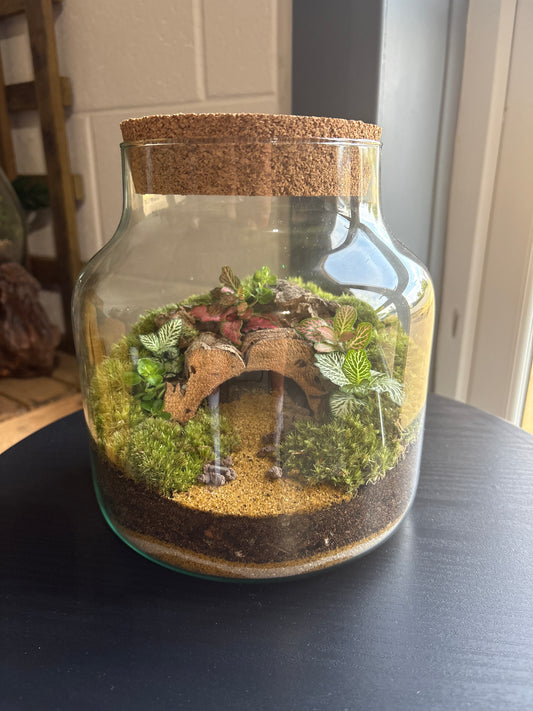 Ready-made Terrarium – Zoey