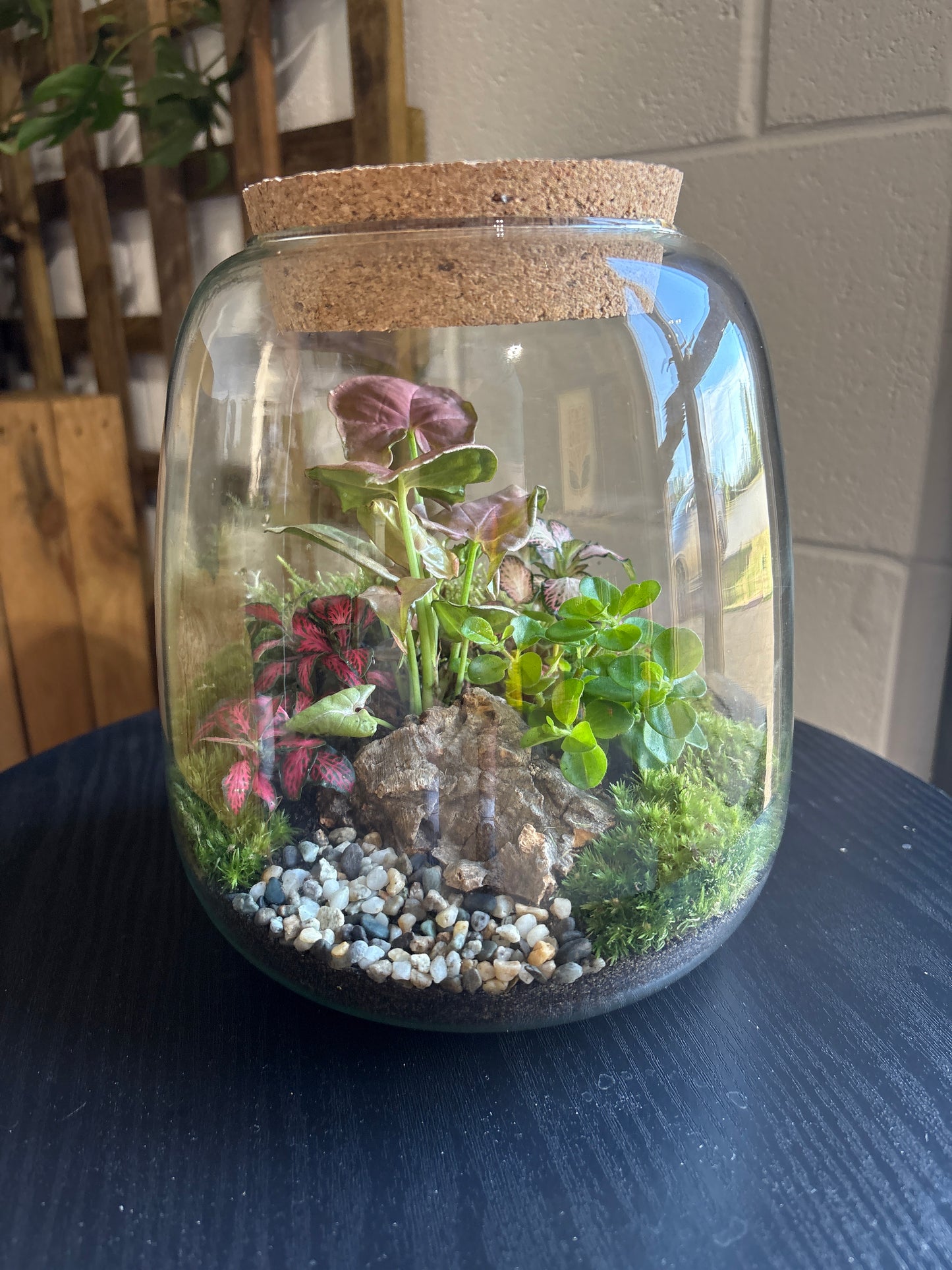 Ready-made Terrarium – Anna Jar