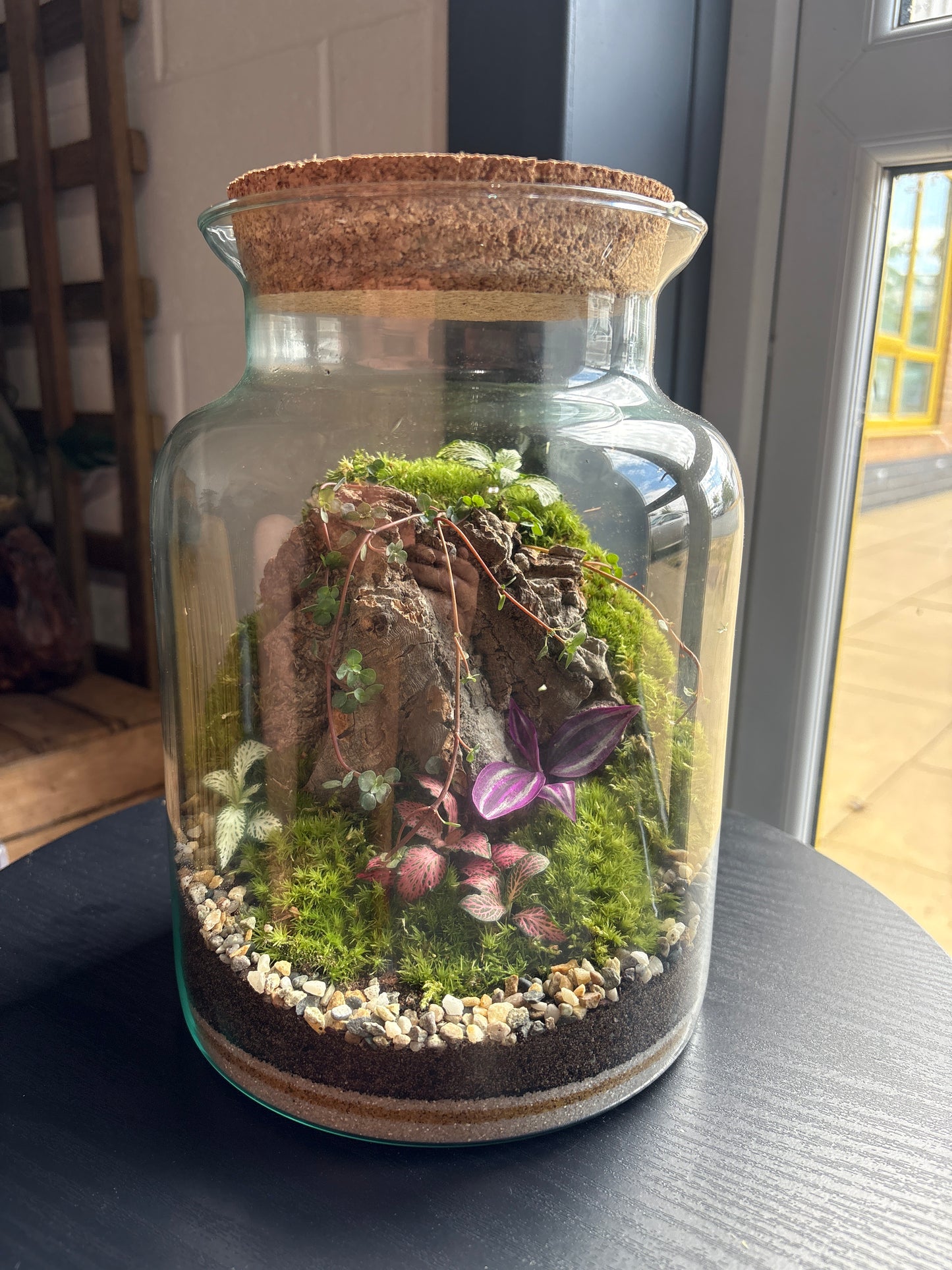 Ready-made Terrarium – Neev Jar