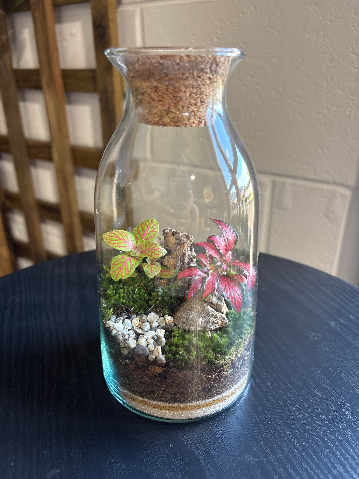 Ready-made Terrarium – Chloe Jar