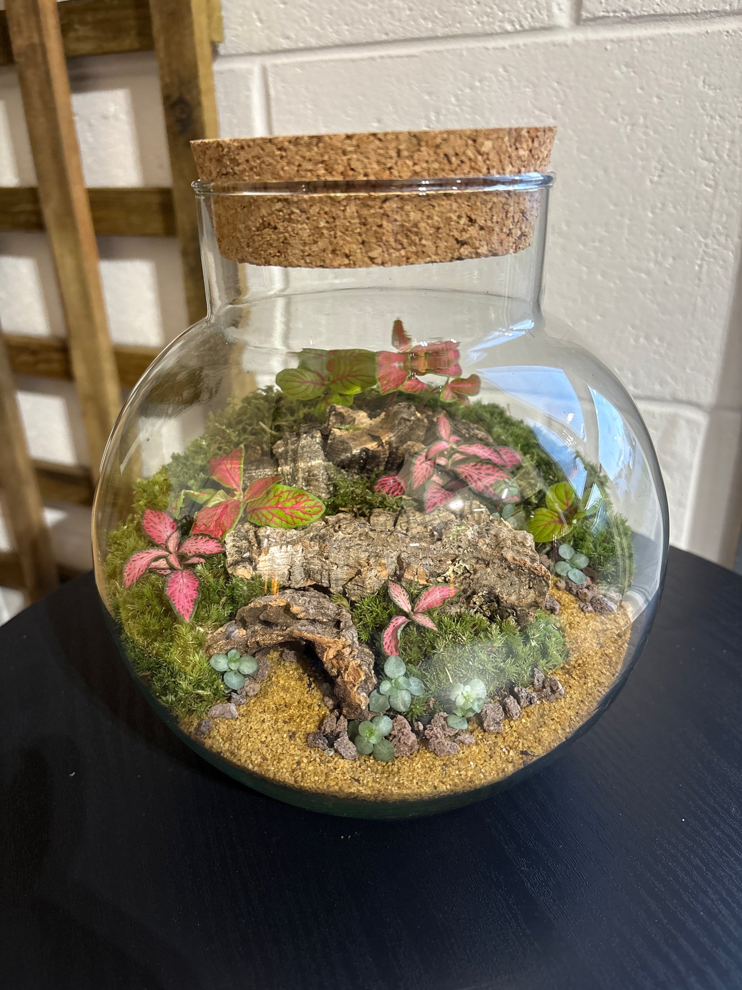 Ready-made Terrarium – George Jar