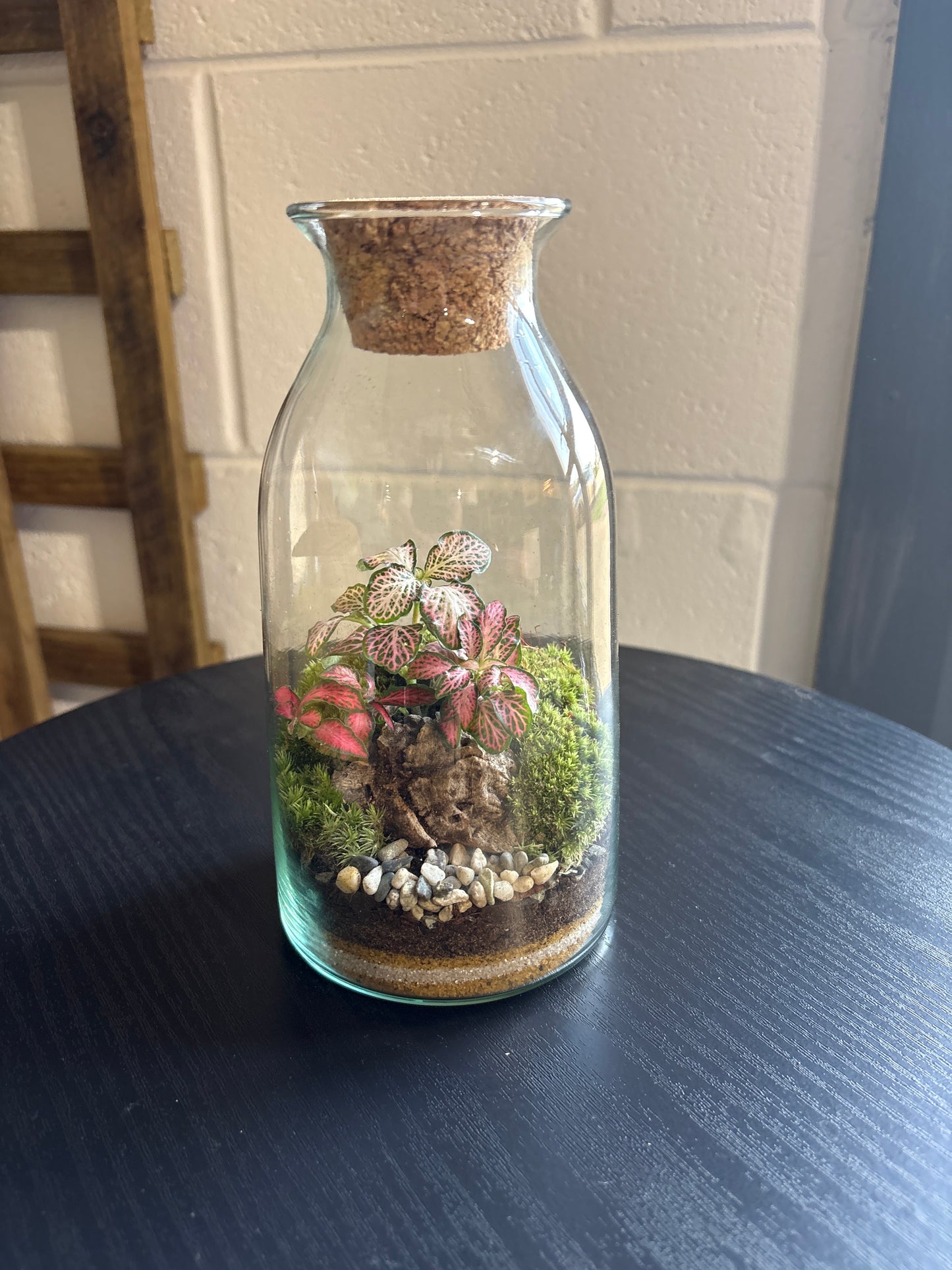 Ready-made Terrarium – Chloe Jar