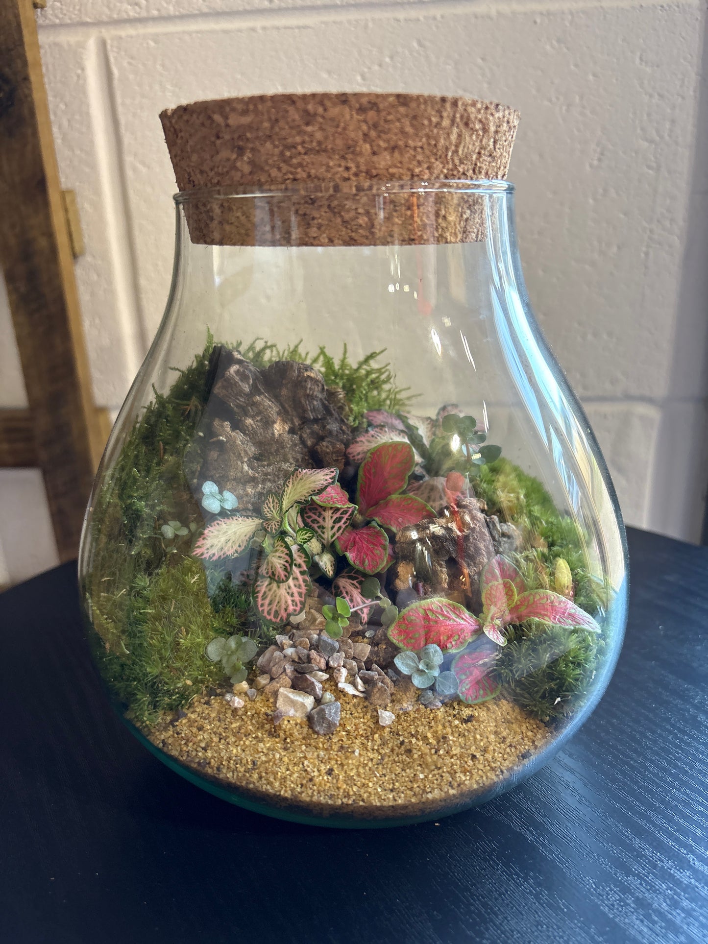 Ready-made Terrarium – Fran Jar
