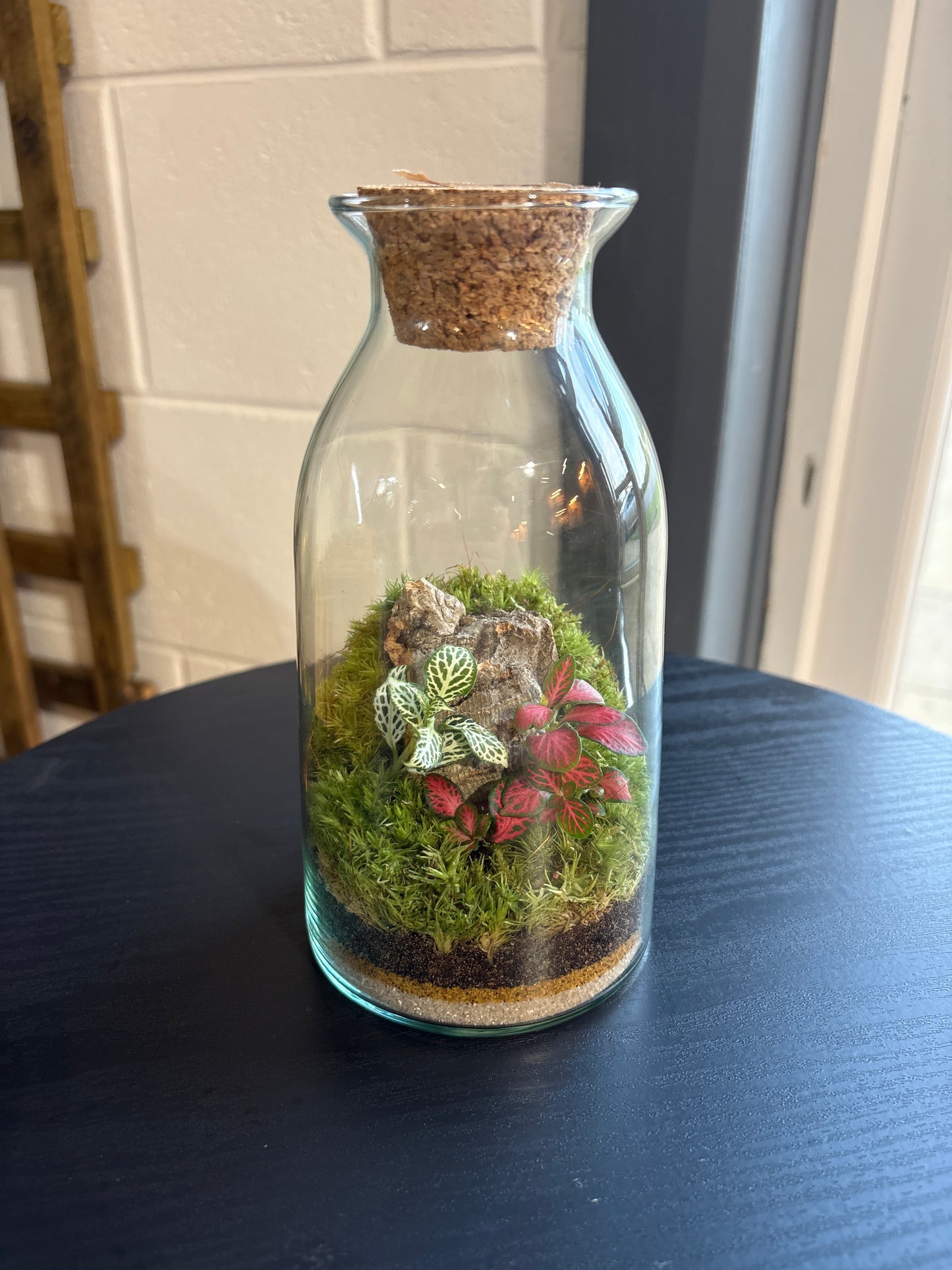 Ready-made Terrarium – Chloe Jar