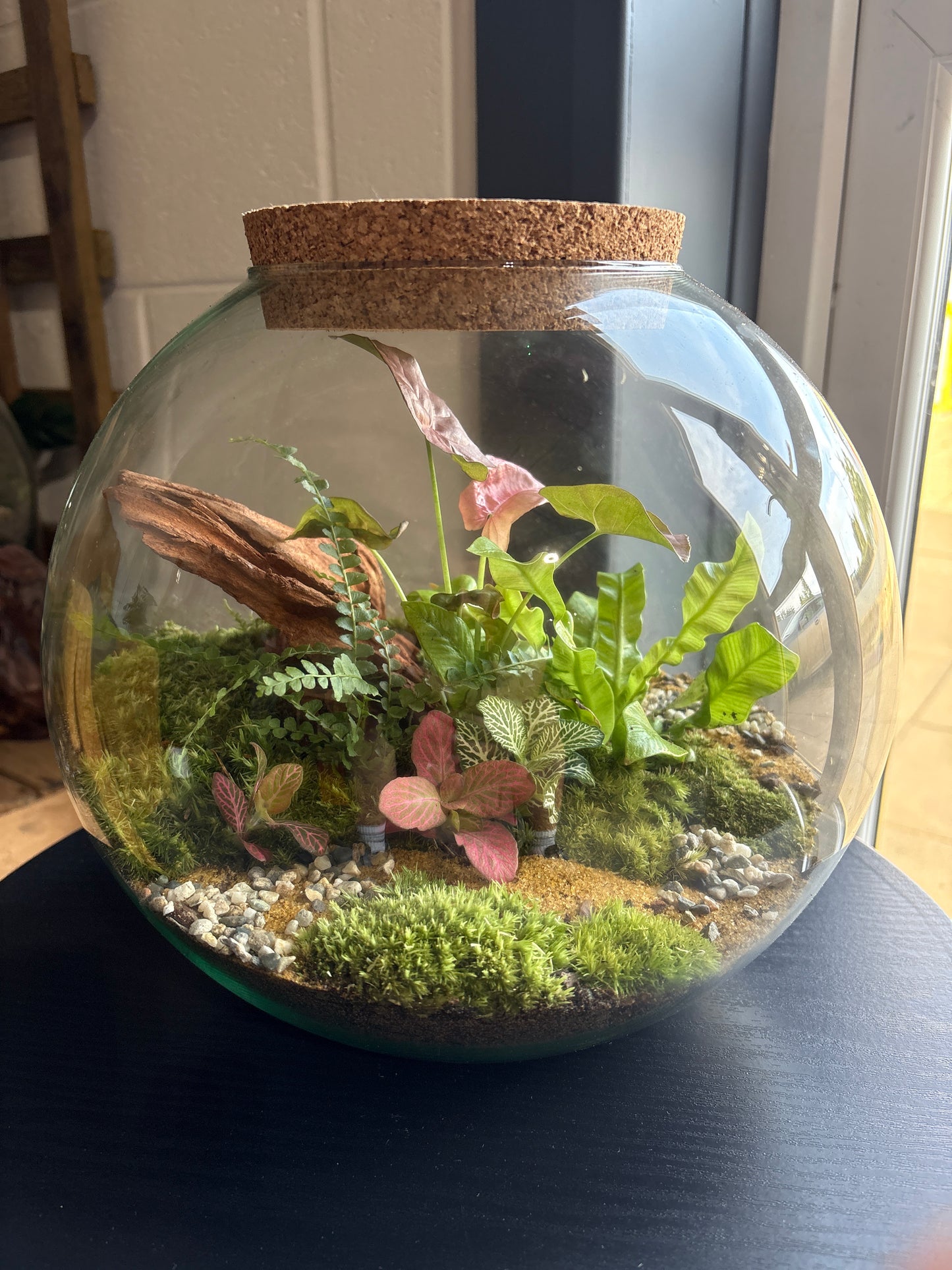 Ready-made Terrarium – Sarah