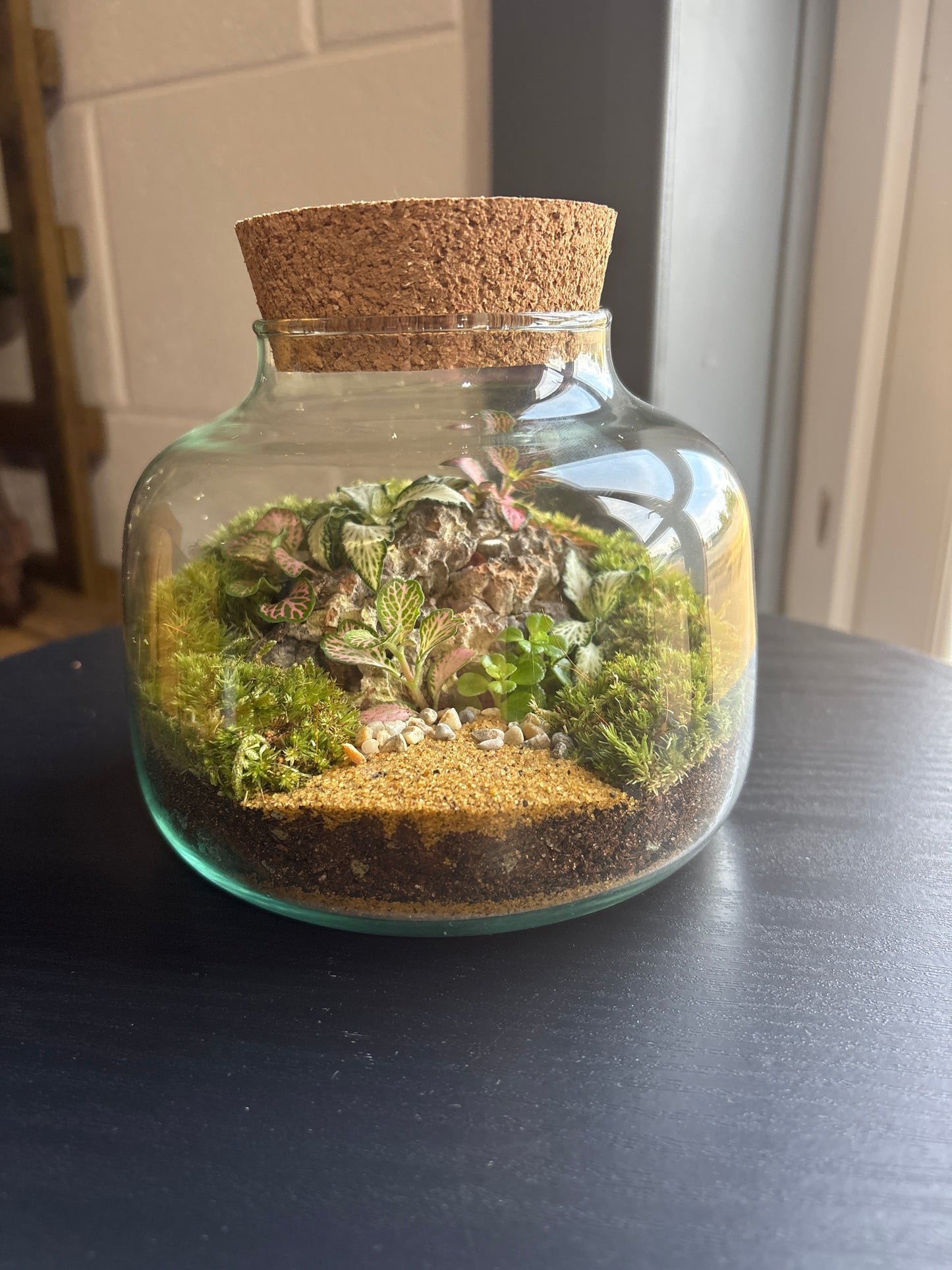 Ready-made Terrarium – Rick