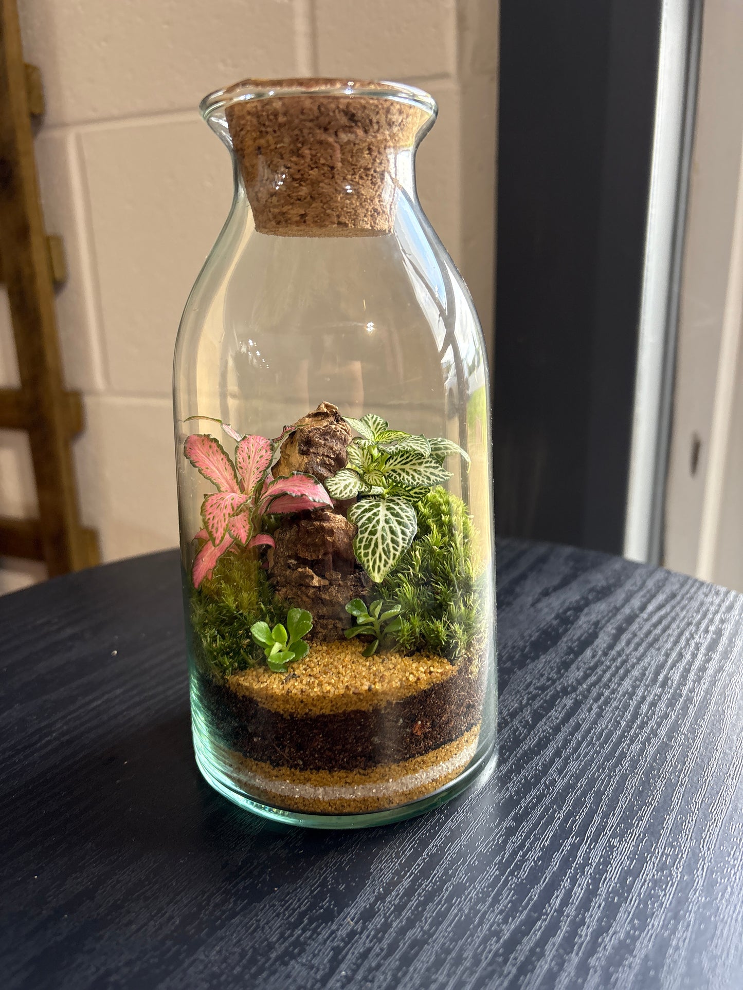 Ready-made Terrarium – Chloe Jar