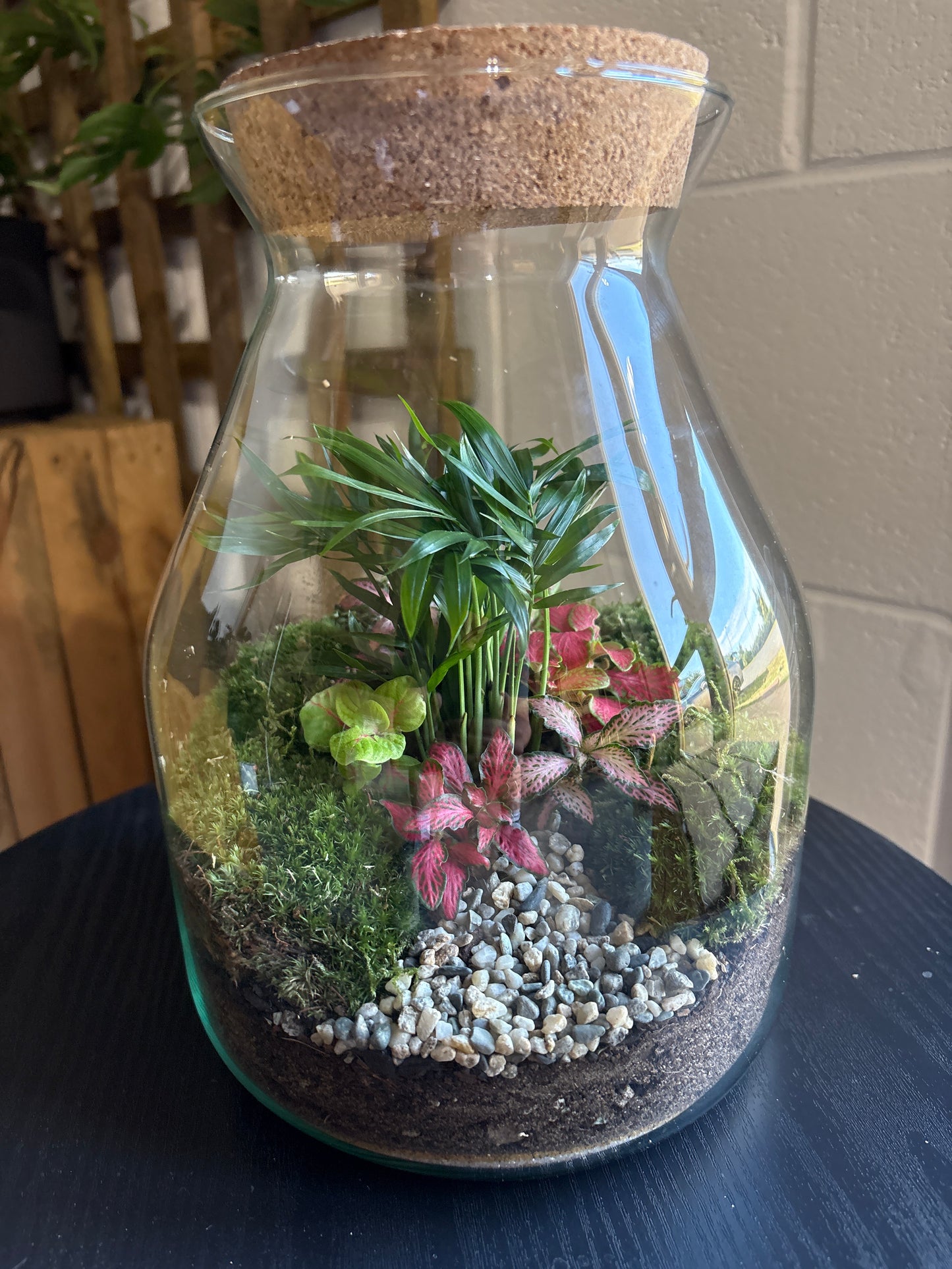 Ready-made Terrarium – Jamie Jar