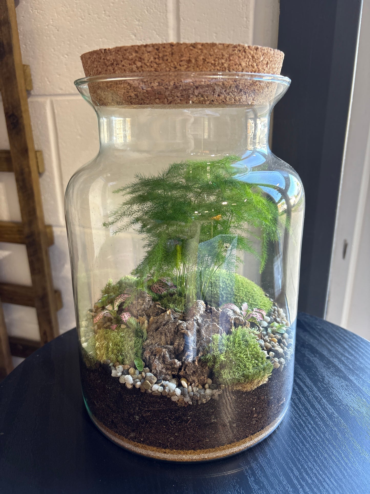 Ready-made Terrarium – Unique Jar