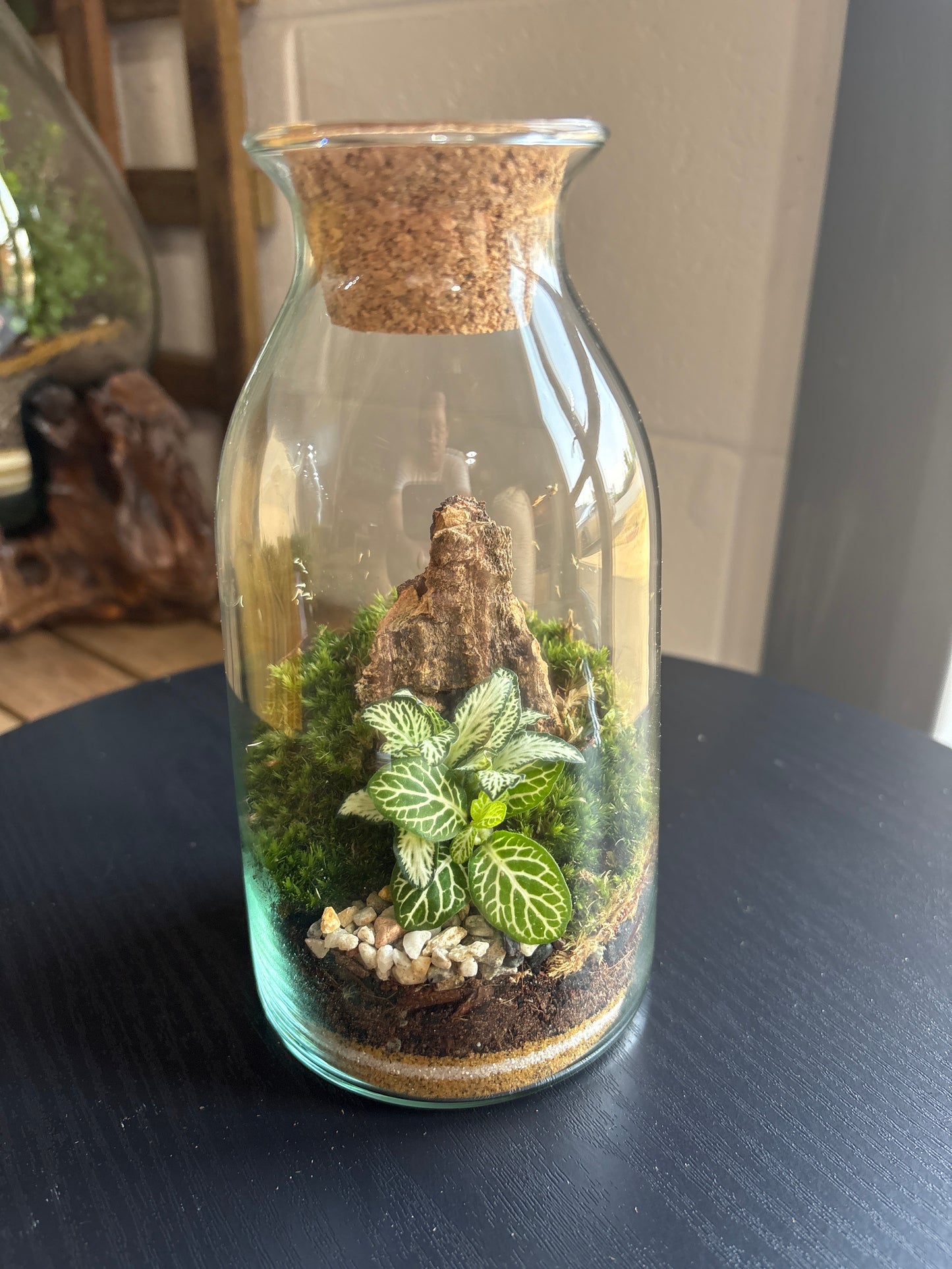 Ready-made Terrarium – Chloe Jar