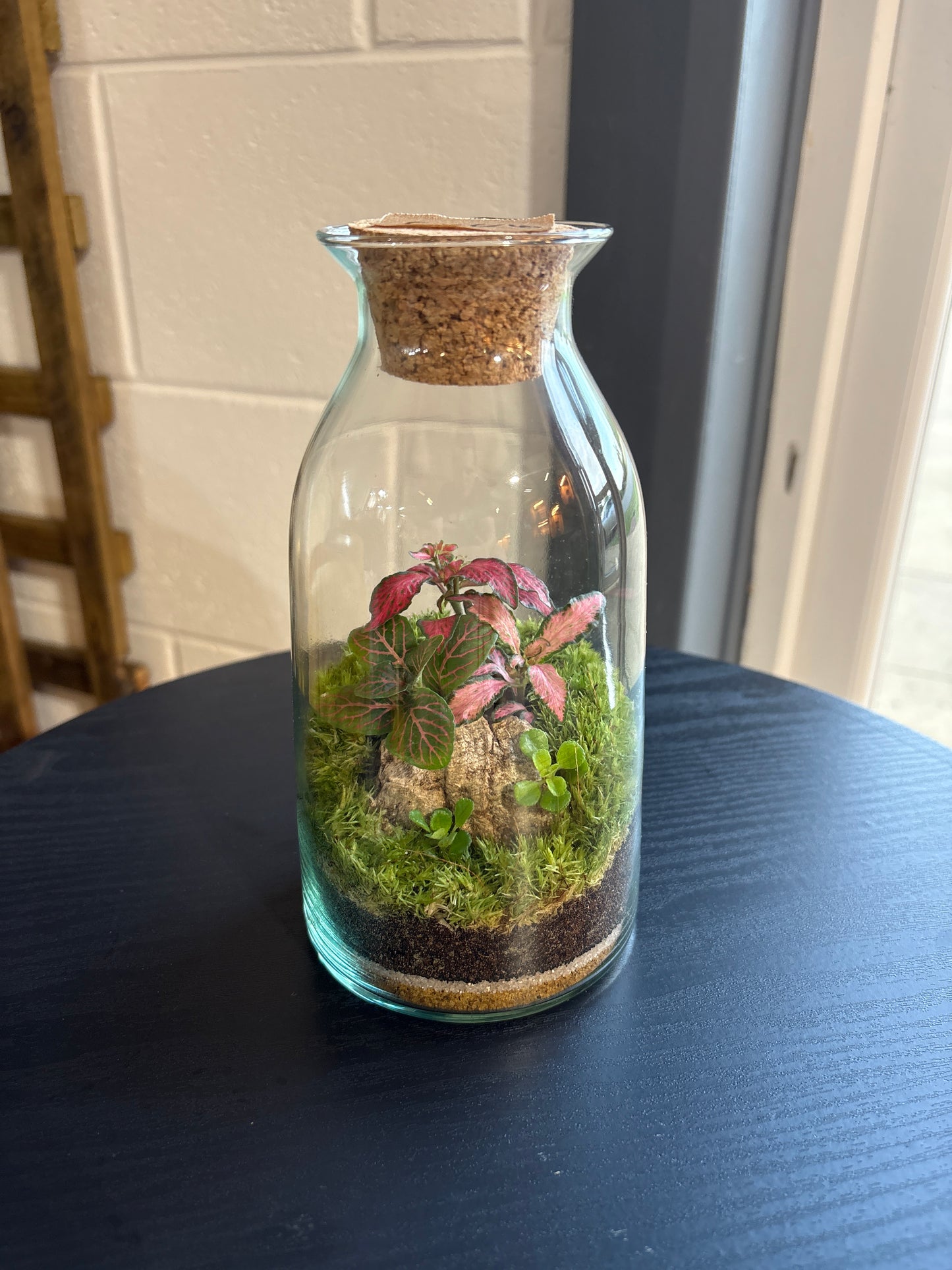 Ready-made Terrarium – Chloe Jar