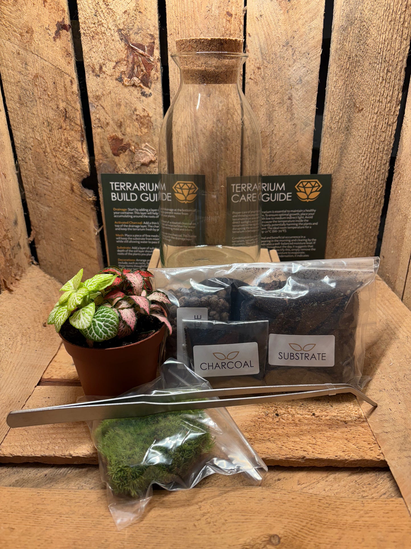 DIY Terrarium Kit - 'Chloe'