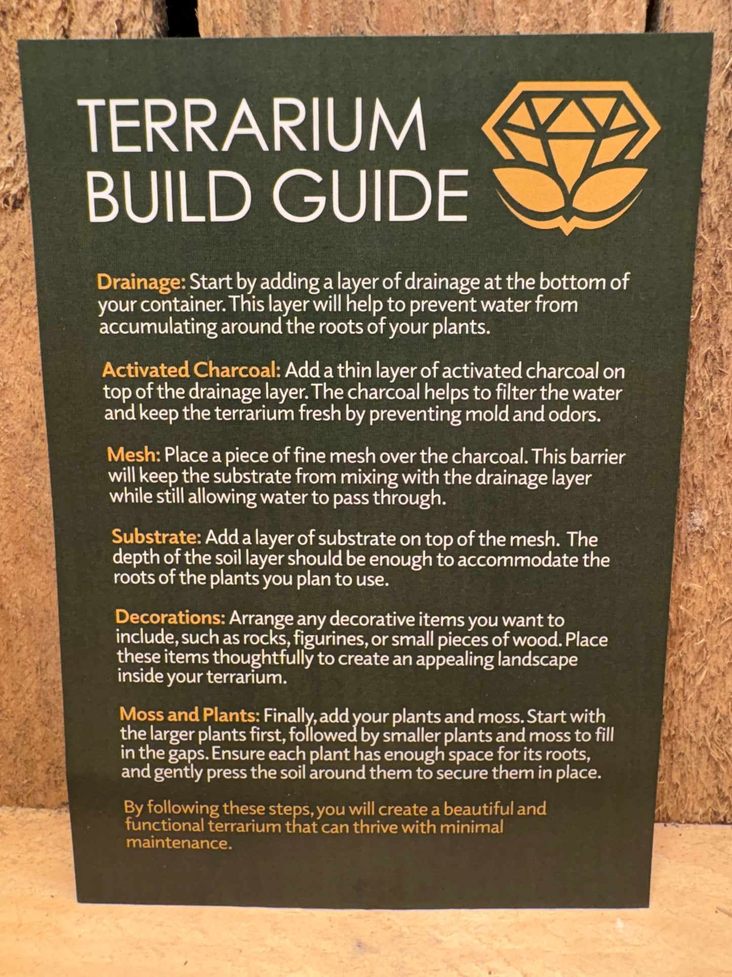 DIY Terrarium Kit - 'Chloe'