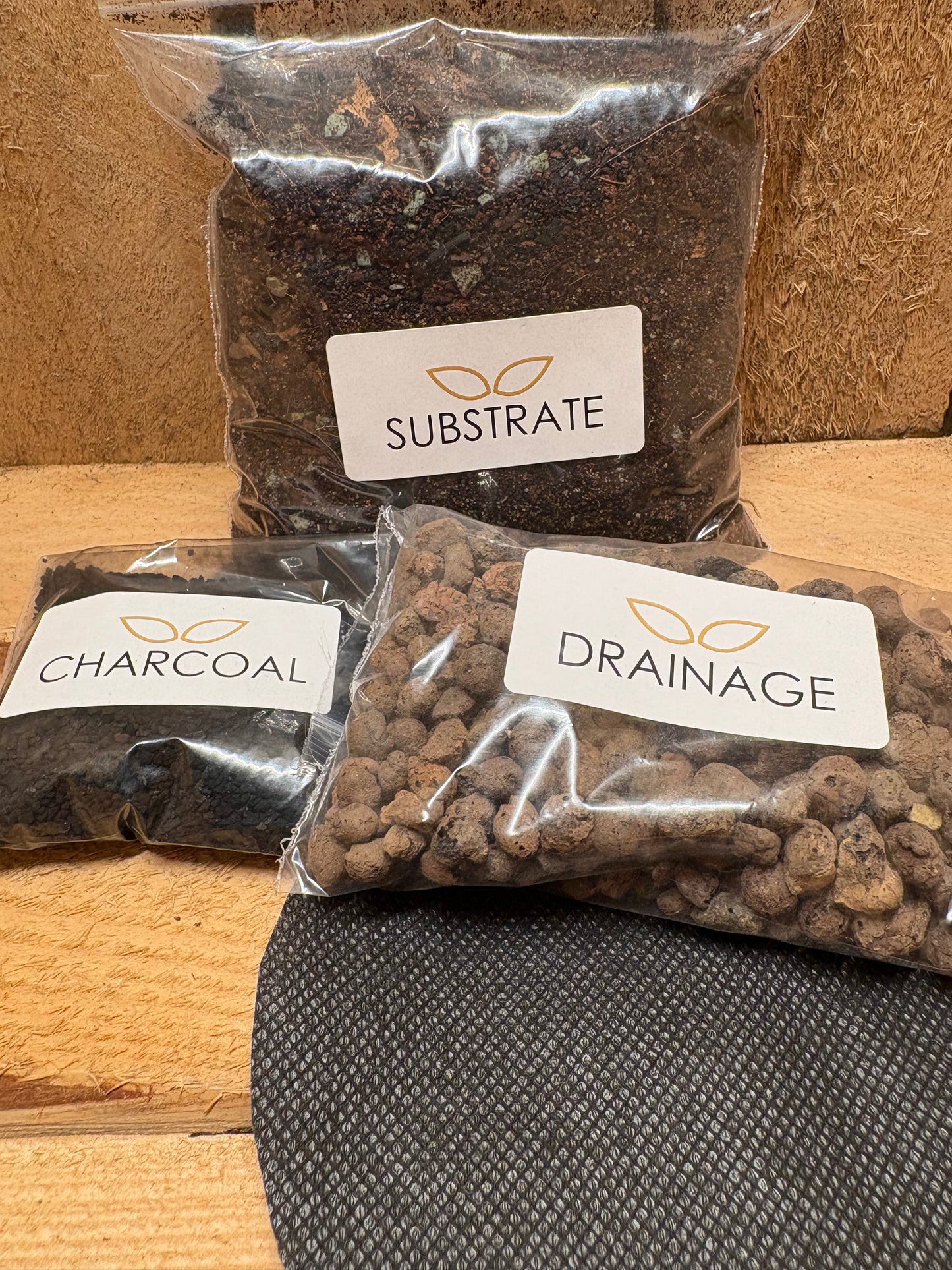 DIY Terrarium Kit - 'Chloe'