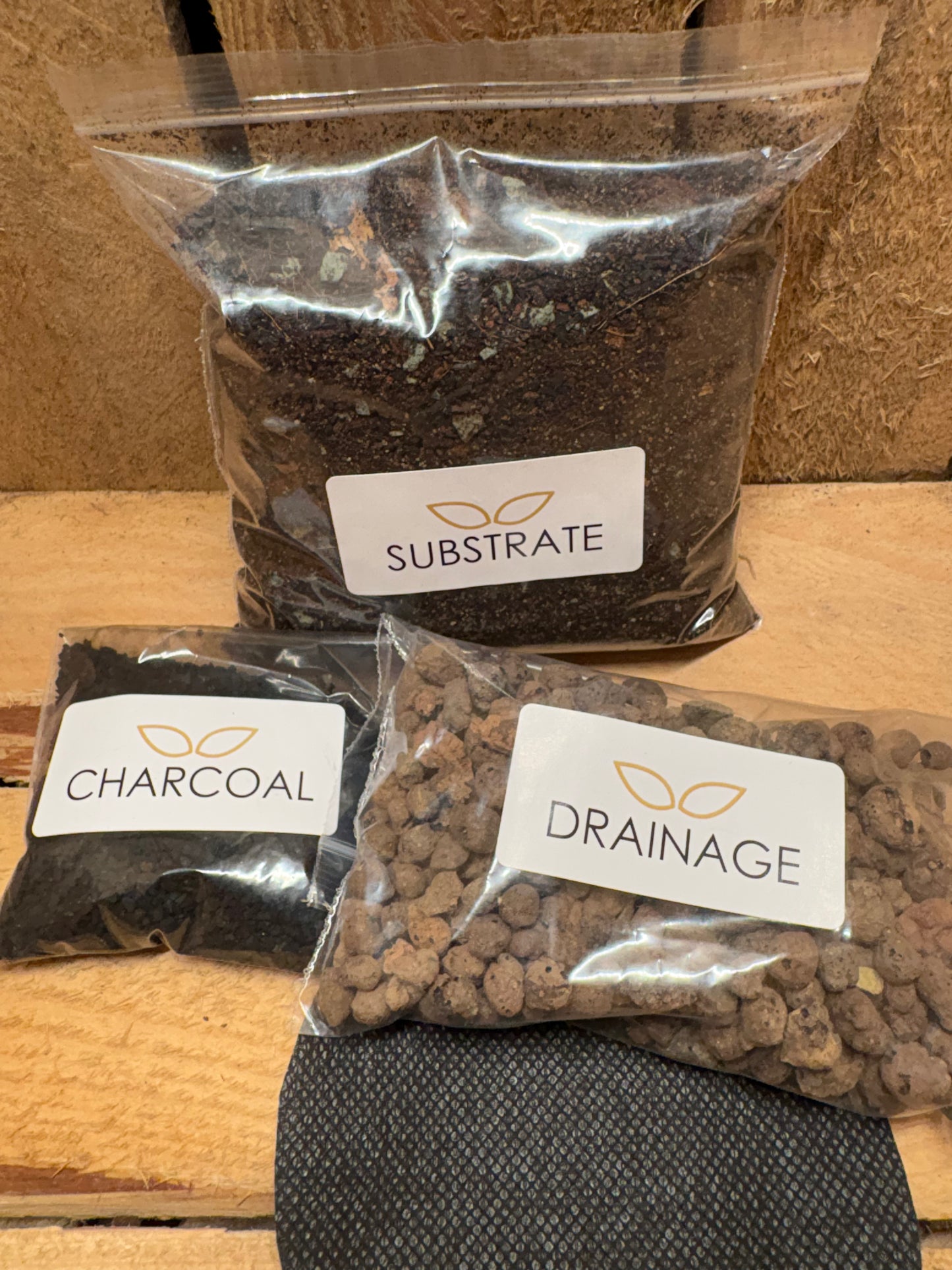 DIY Terrarium Kit - 'Chloe'