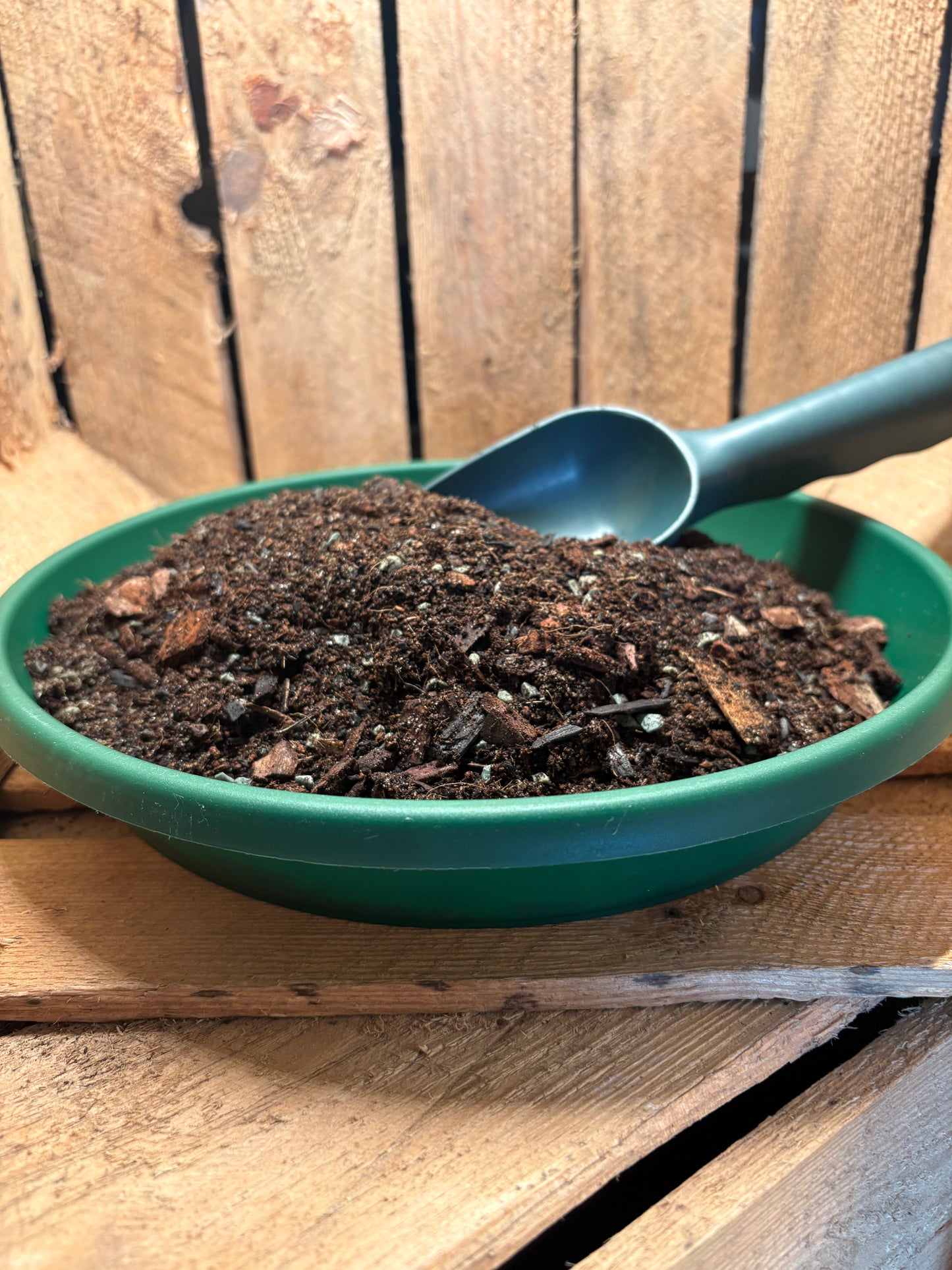 Terrarium Substrate