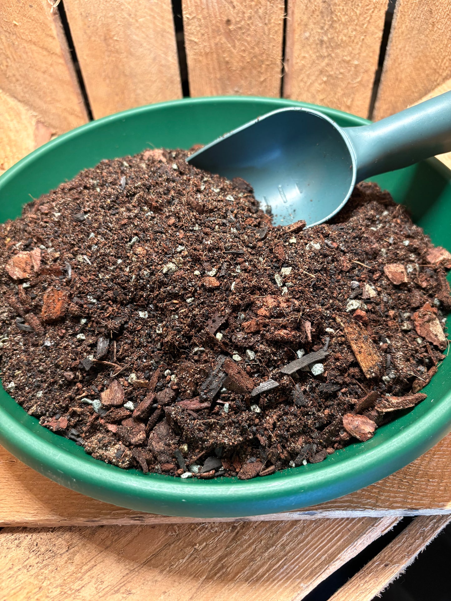 Terrarium Substrate
