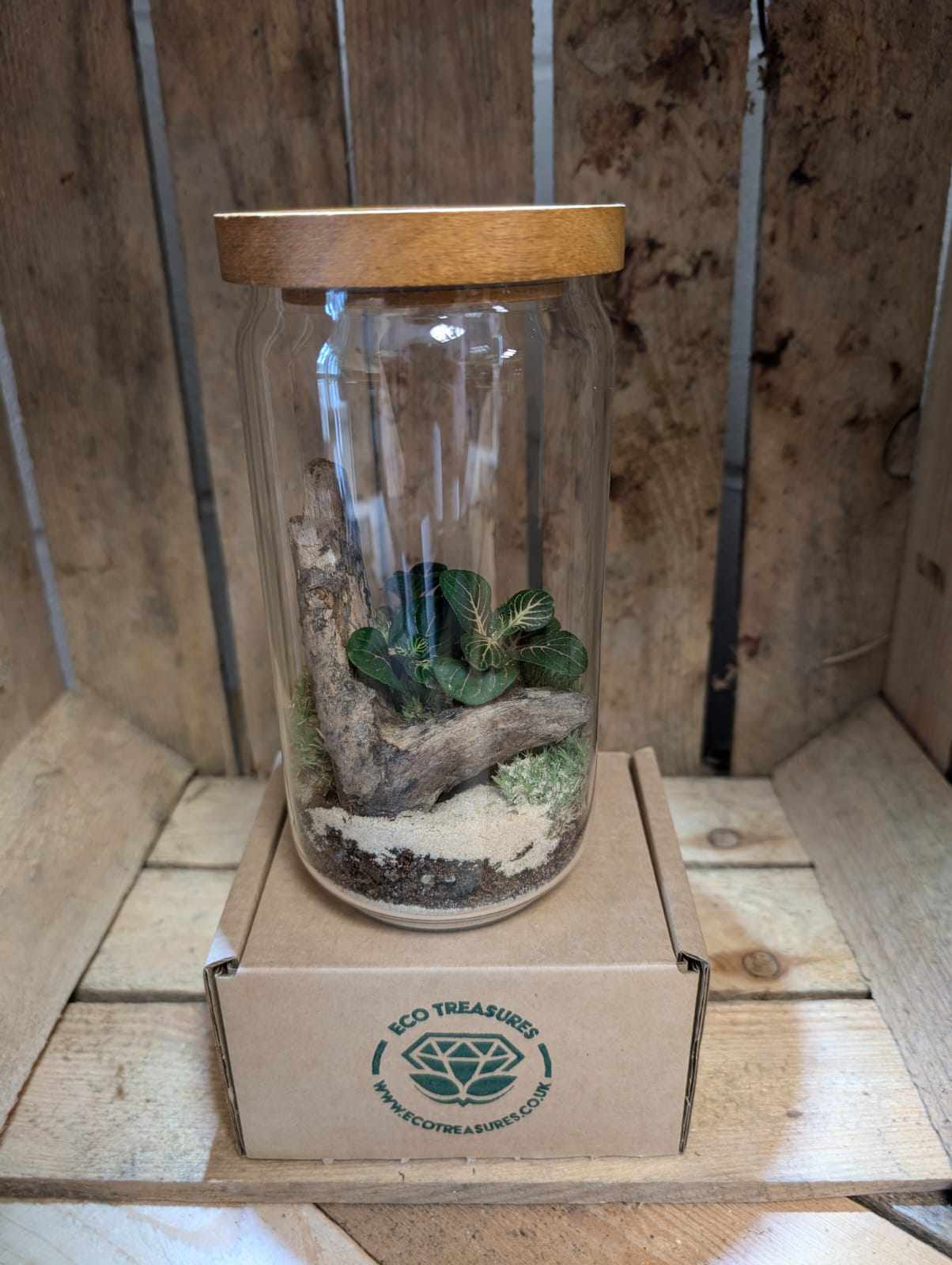 Medium Ready-made Terrarium - 'Laura'