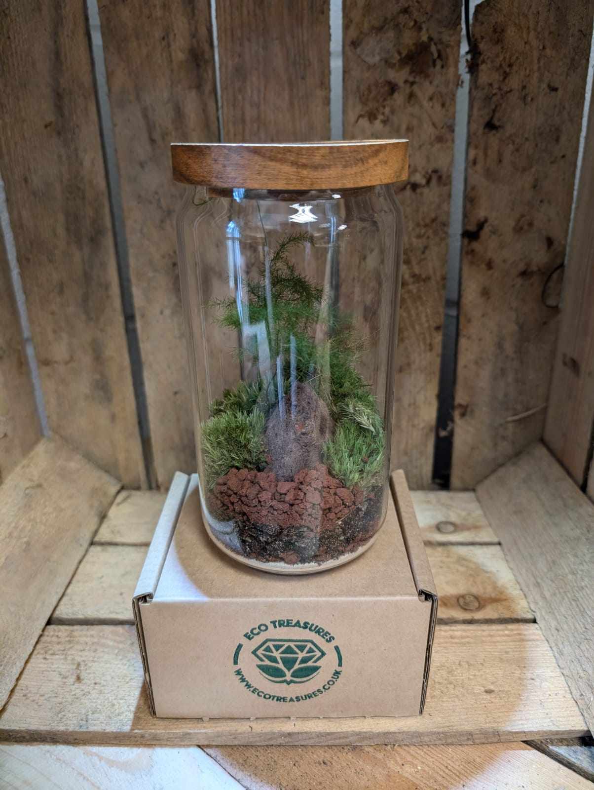 Medium Ready-made Terrarium - 'Louise'