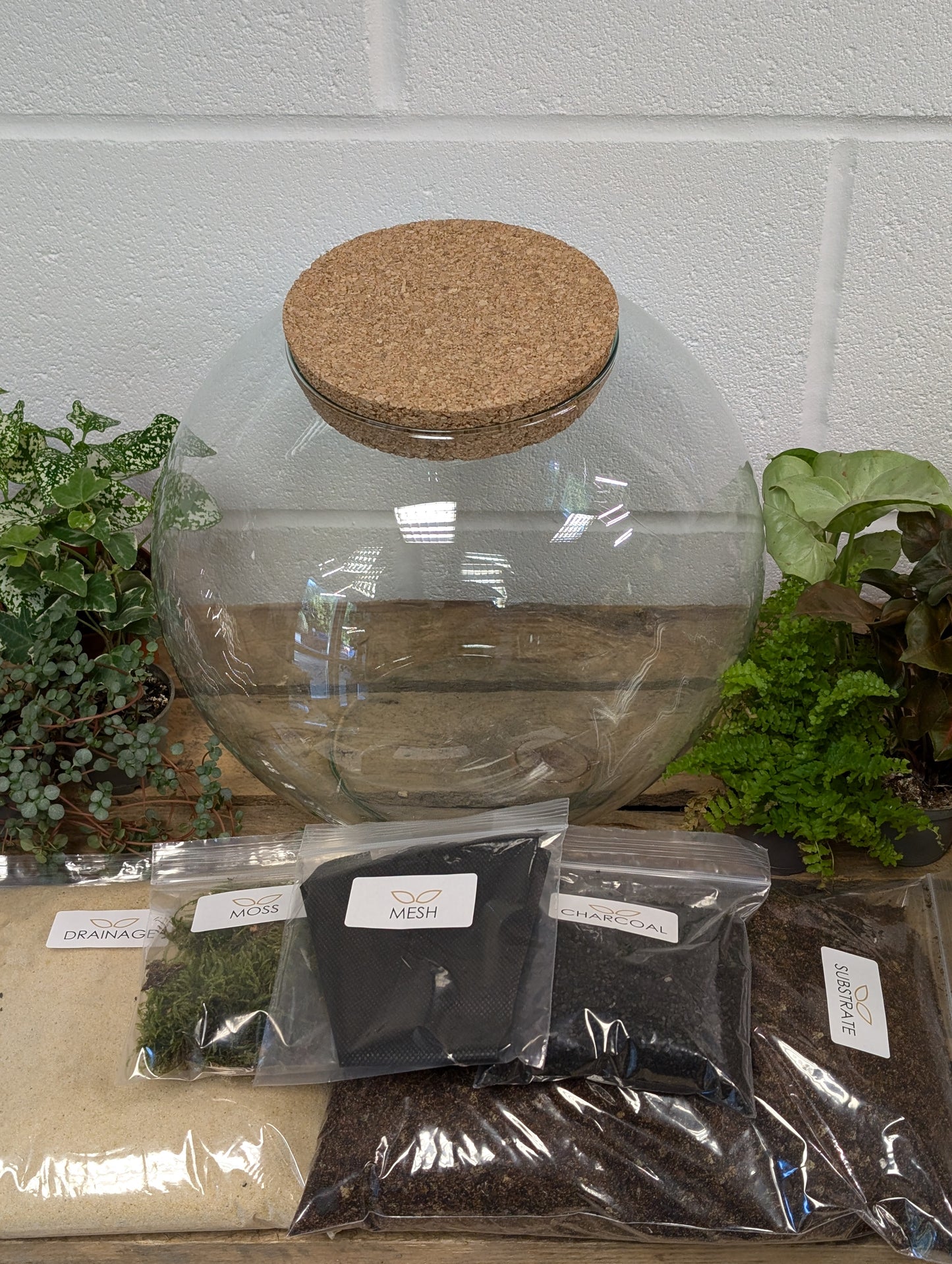 DIY Terrarium Kit - 'Sarah'