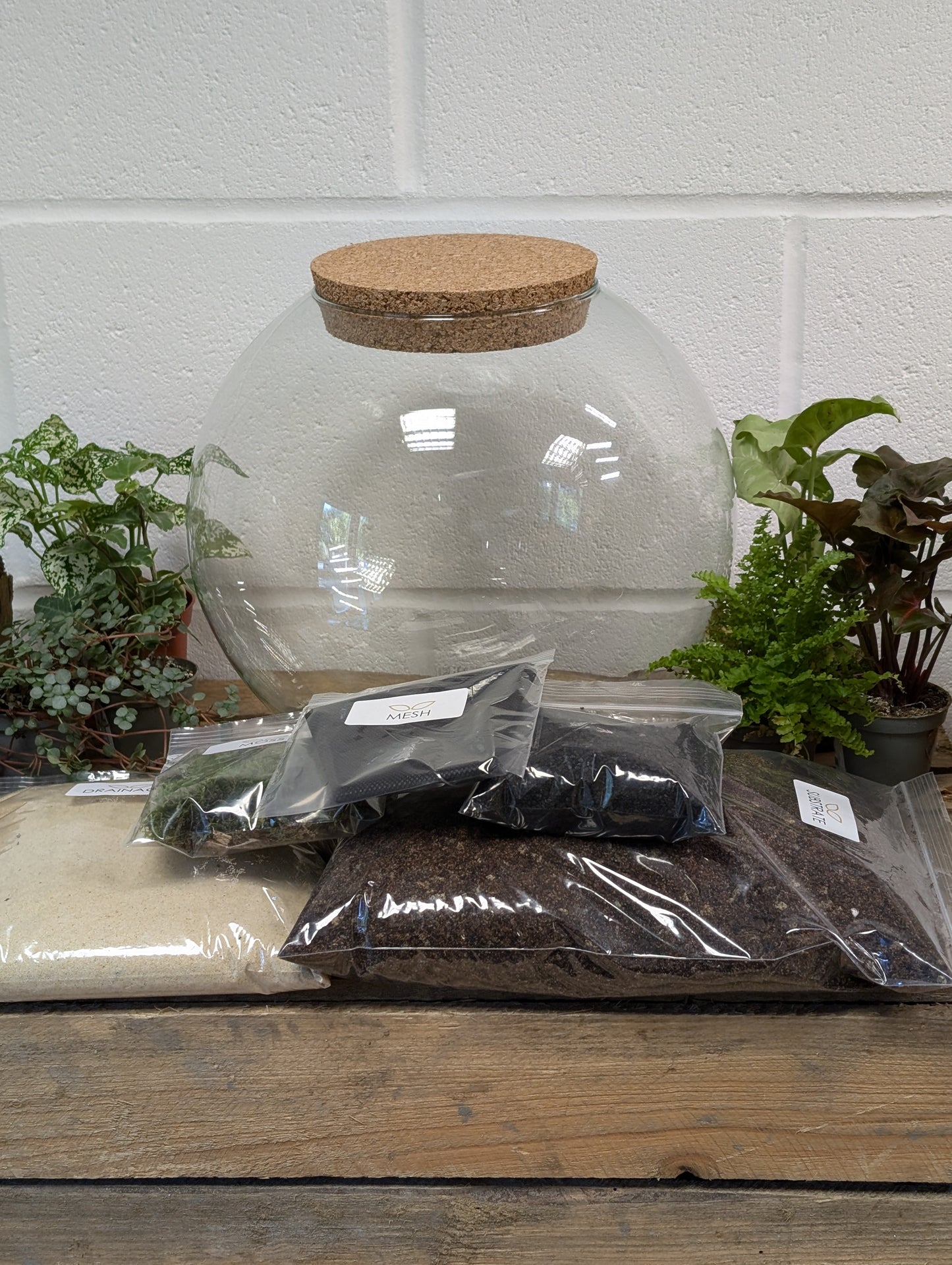 DIY Terrarium Kit - 'Sarah'