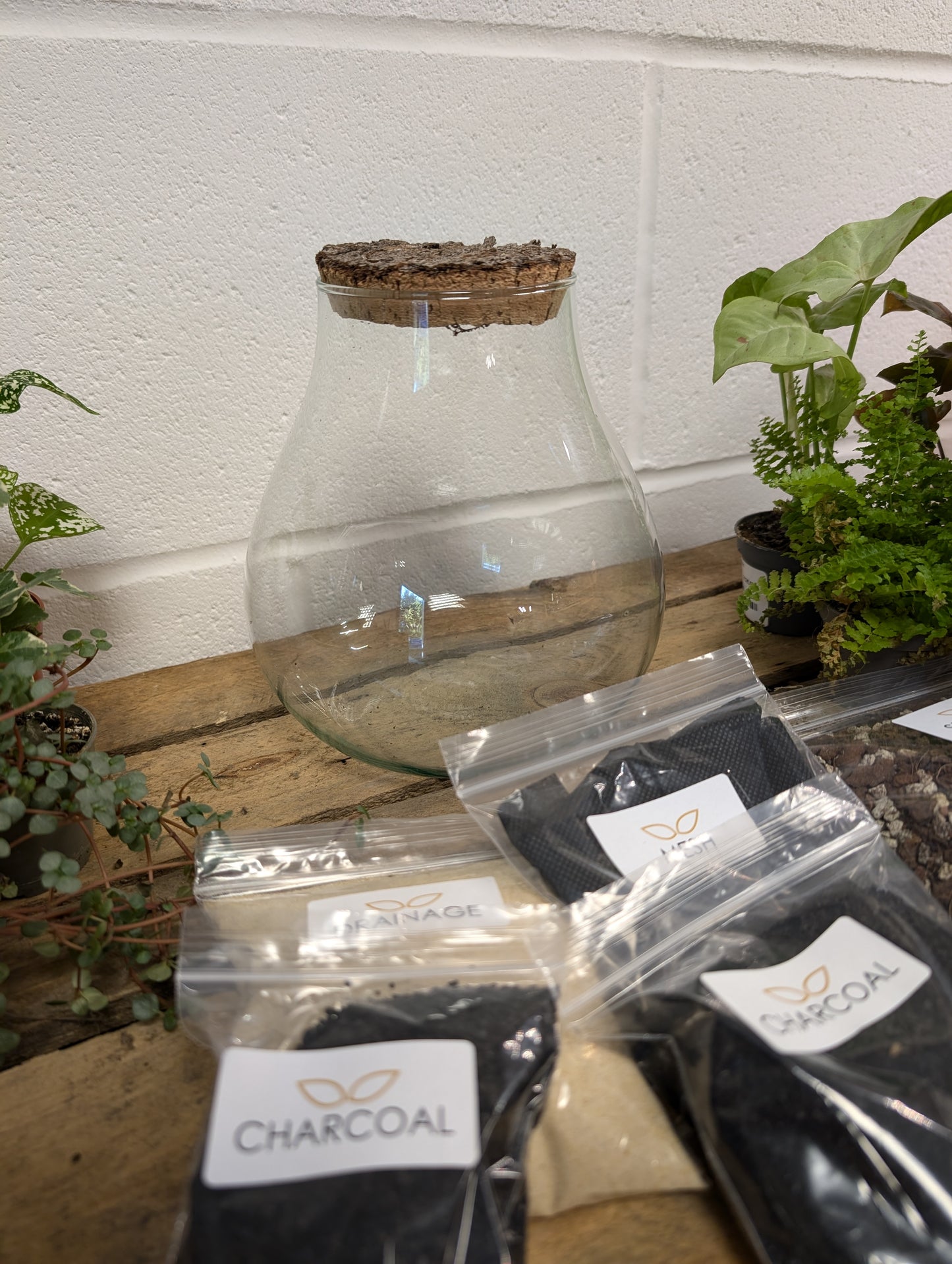 DIY Terrarium Kit - 'Tyler'