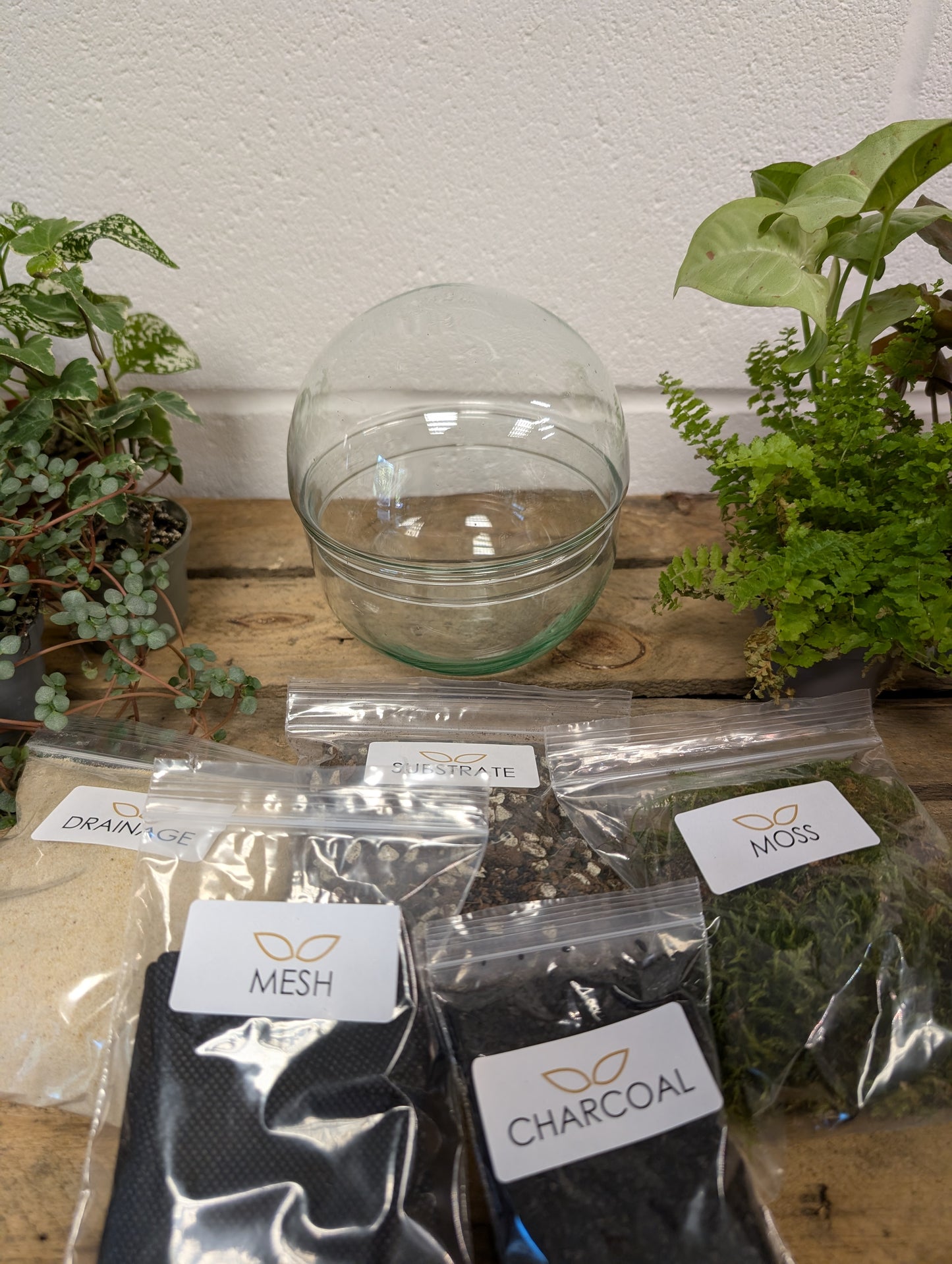 DIY Terrarium Kit - 'Keith'