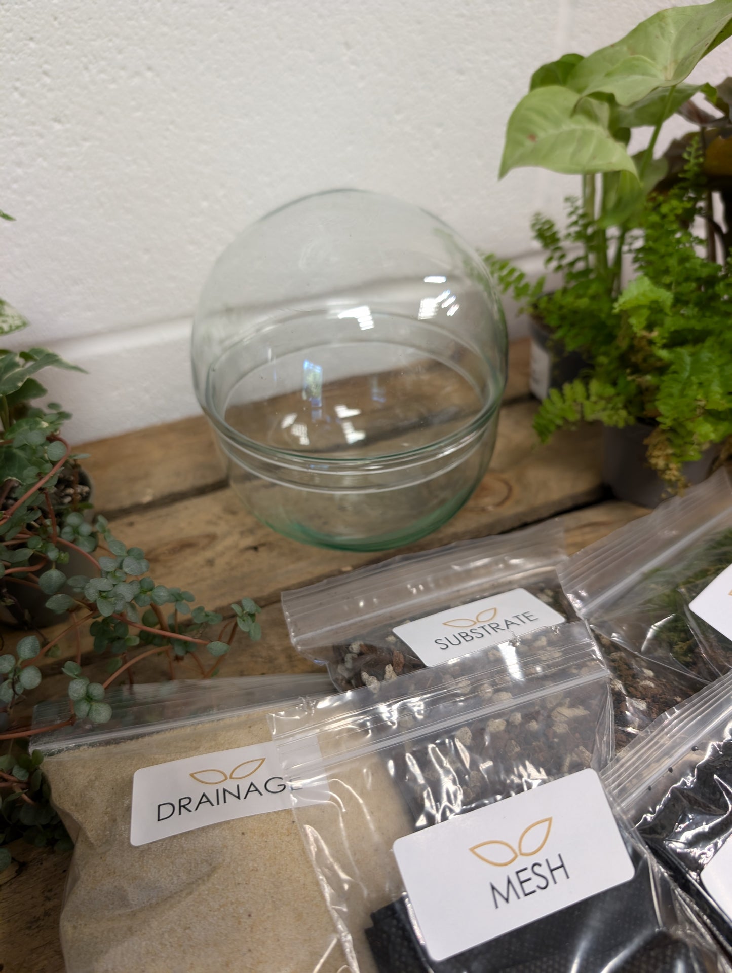 DIY Terrarium Kit - 'Keith'